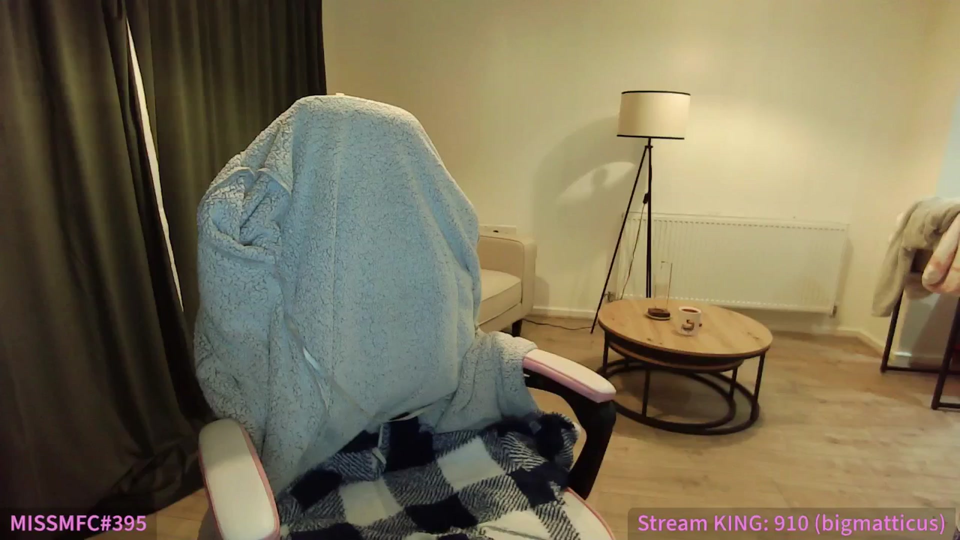 Gallery image thumbnail from ErikaJamess's myfreecams stream on, 01/28/2026, 23:04 image 10 of 20