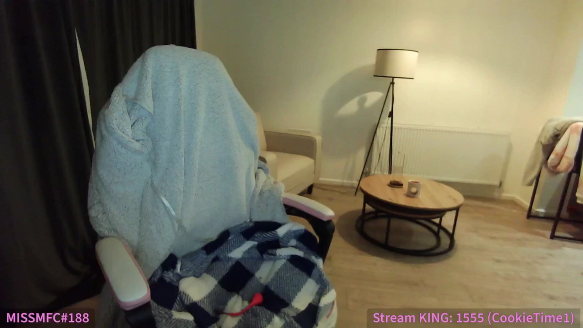 Gallery image thumbnail from ErikaJamess's myfreecams stream on, 02/08/2026, 02:59 image 12 of 20