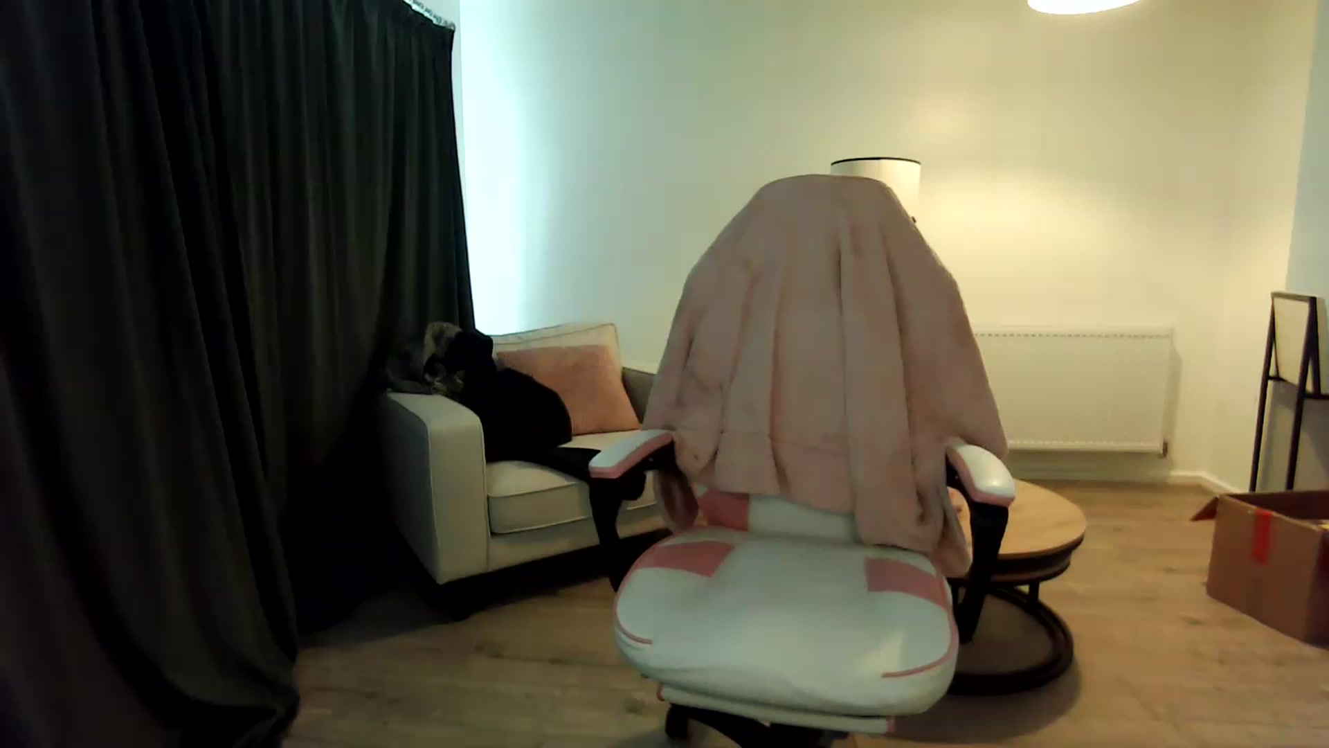 Gallery image thumbnail from ErikaJamess's myfreecams stream on, 08/26/2026, 11:16 image 14 of 20