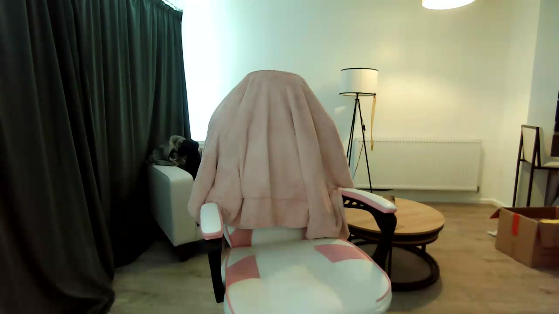 Gallery image thumbnail from ErikaJamess's myfreecams stream on, 08/26/2026, 17:59 image 7 of 20