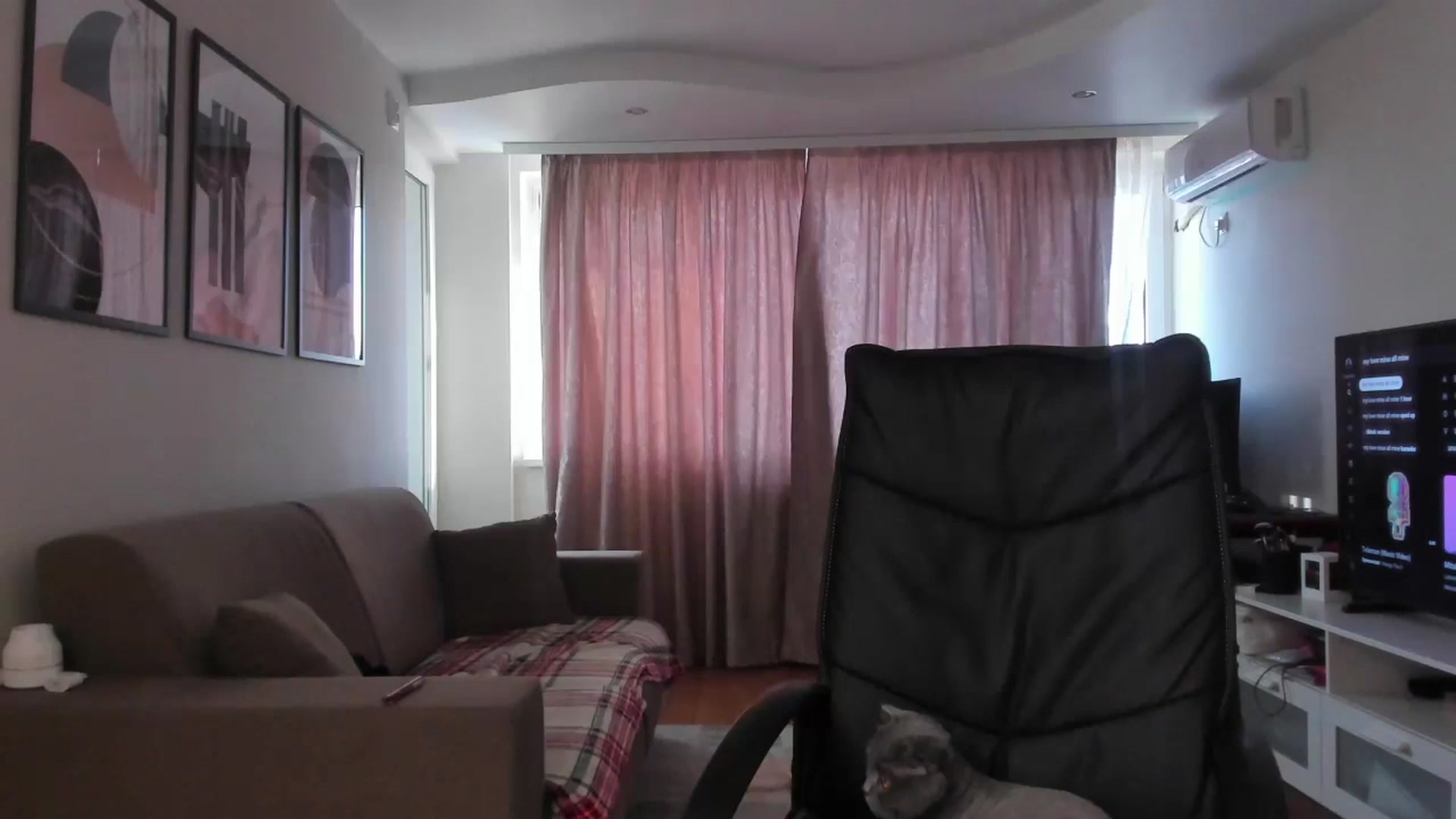 Gallery image thumbnail from Erika_higgins's myfreecams stream on, 01/22/2024, 14:02 image 16 of 20