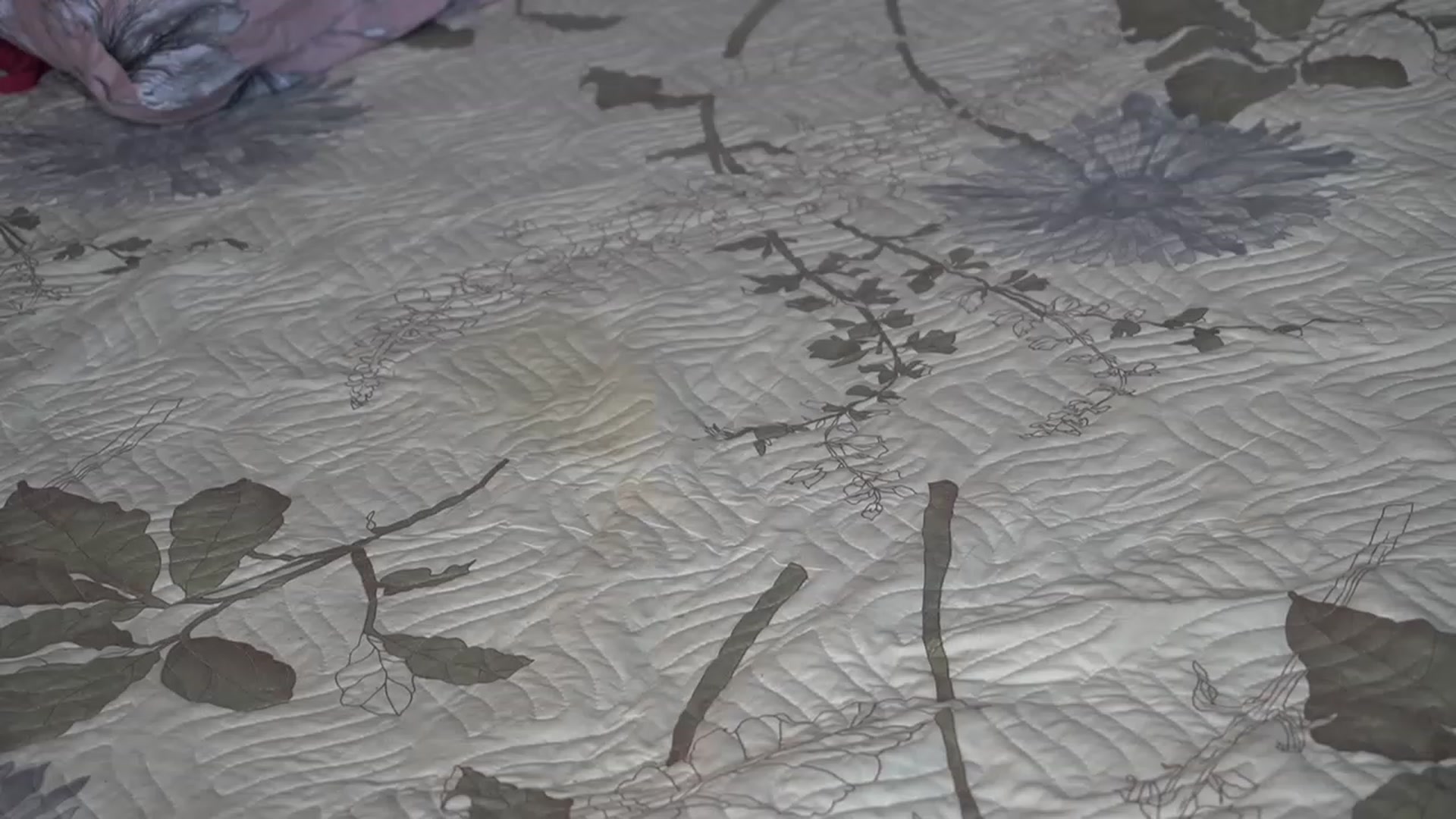 Gallery image thumbnail from Erikabee's myfreecams stream on, 03/17/2023, 11:44 image 12 of 20