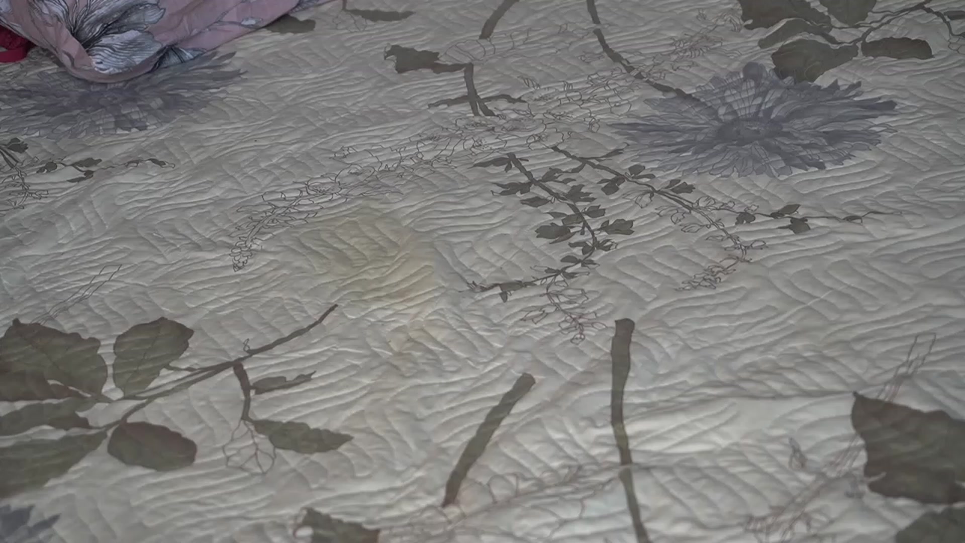 Gallery image thumbnail from Erikabee's myfreecams stream on, 03/17/2023, 11:44 image 15 of 20