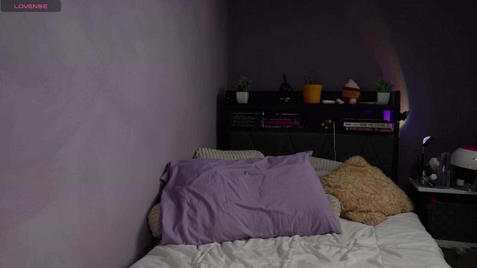 Gallery image thumbnail from Erikarose_'s myfreecams stream on, 03/08/2025, 17:22 image 12 of 20