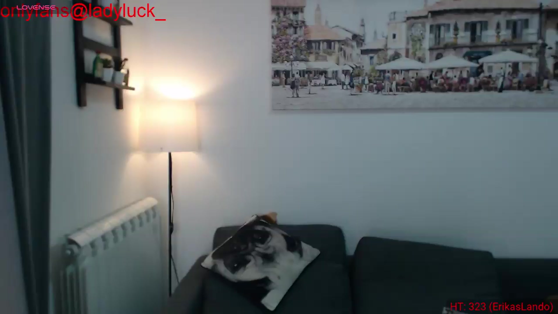 Gallery image thumbnail from ErikasMagic's myfreecams stream on, 08/04/2026, 19:45 image 19 of 20