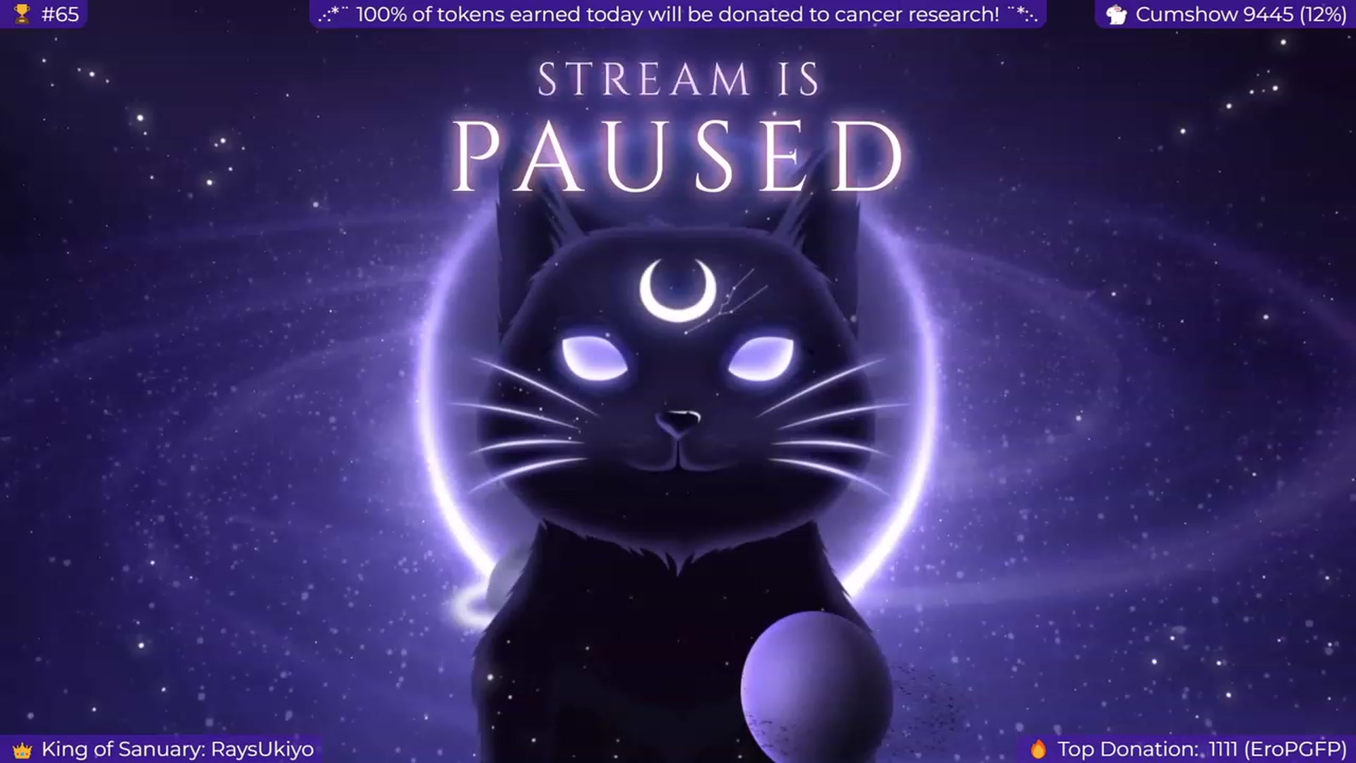 Gallery image thumbnail from EroUkiyo's myfreecams stream on, 01/08/2024, 07:57 image 19 of 20