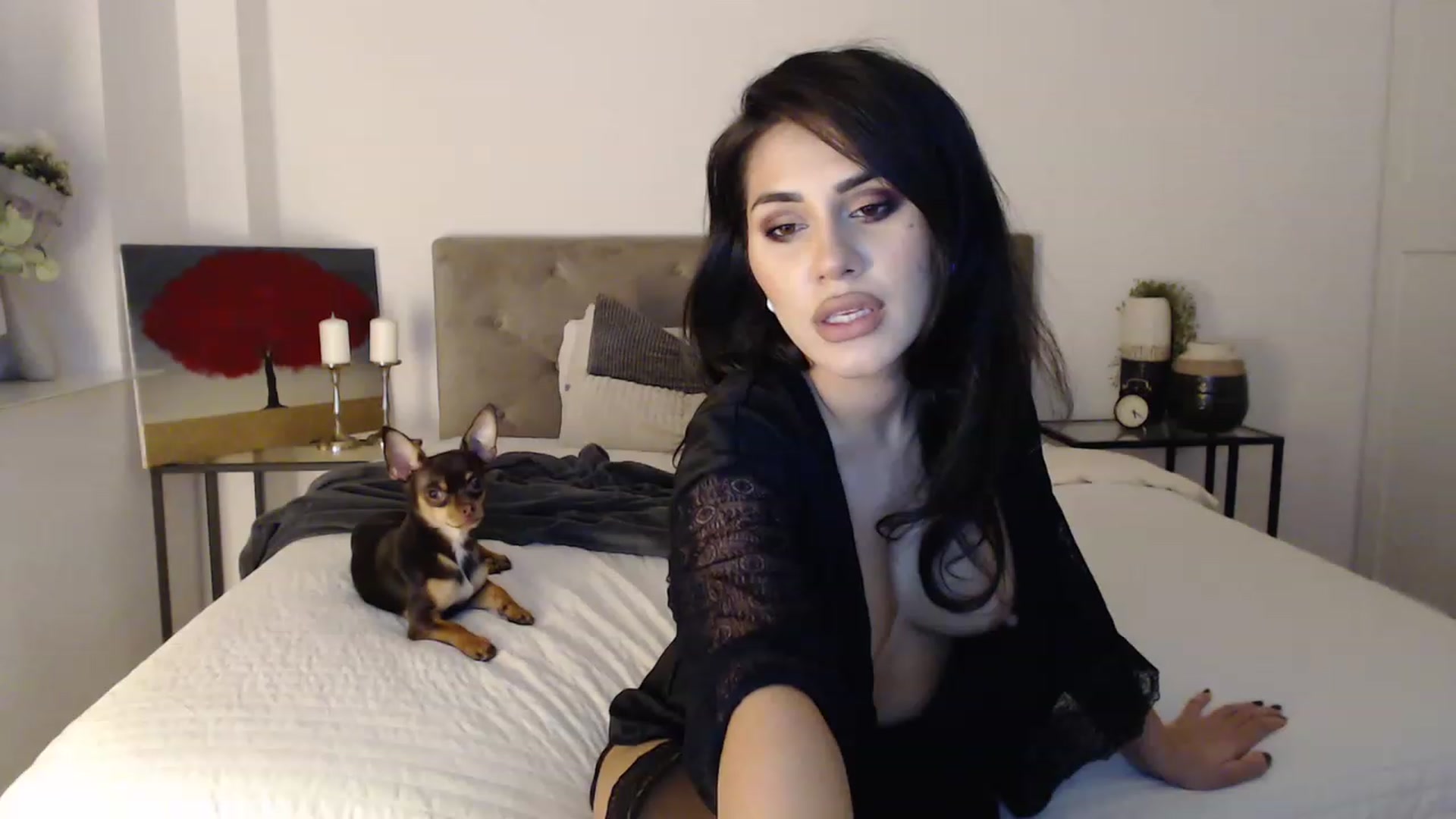 Gallery image thumbnail from EroticEve's myfreecams stream on, 11/15/2022, 15:43 image 11 of 20