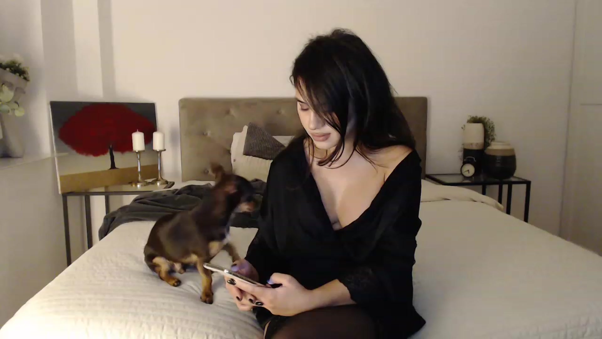Gallery image thumbnail from EroticEve's myfreecams stream on, 11/15/2022, 15:43 image 17 of 20