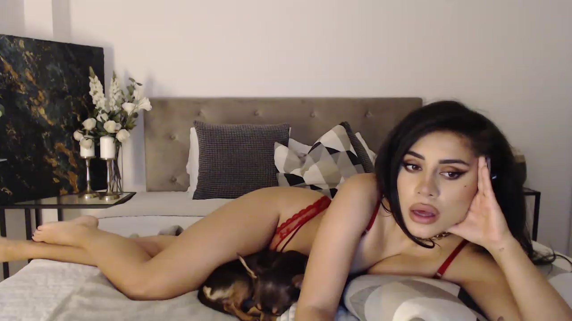 Gallery image thumbnail from EroticEve's myfreecams stream on, 12/09/2022, 11:45 image 19 of 20