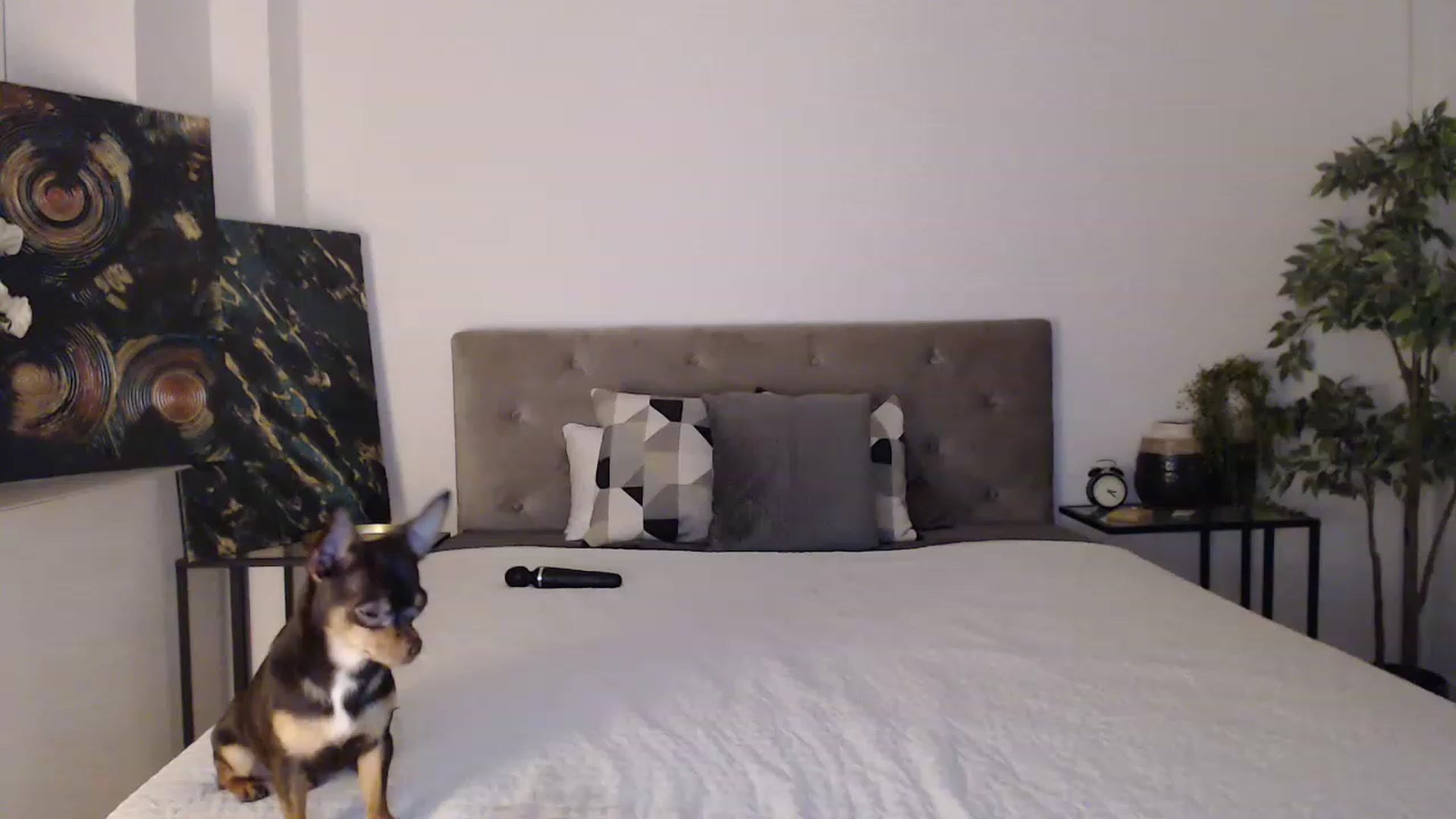 Gallery image thumbnail from EroticEve's myfreecams stream on, 07/21/2023, 13:22 image 1 of 20