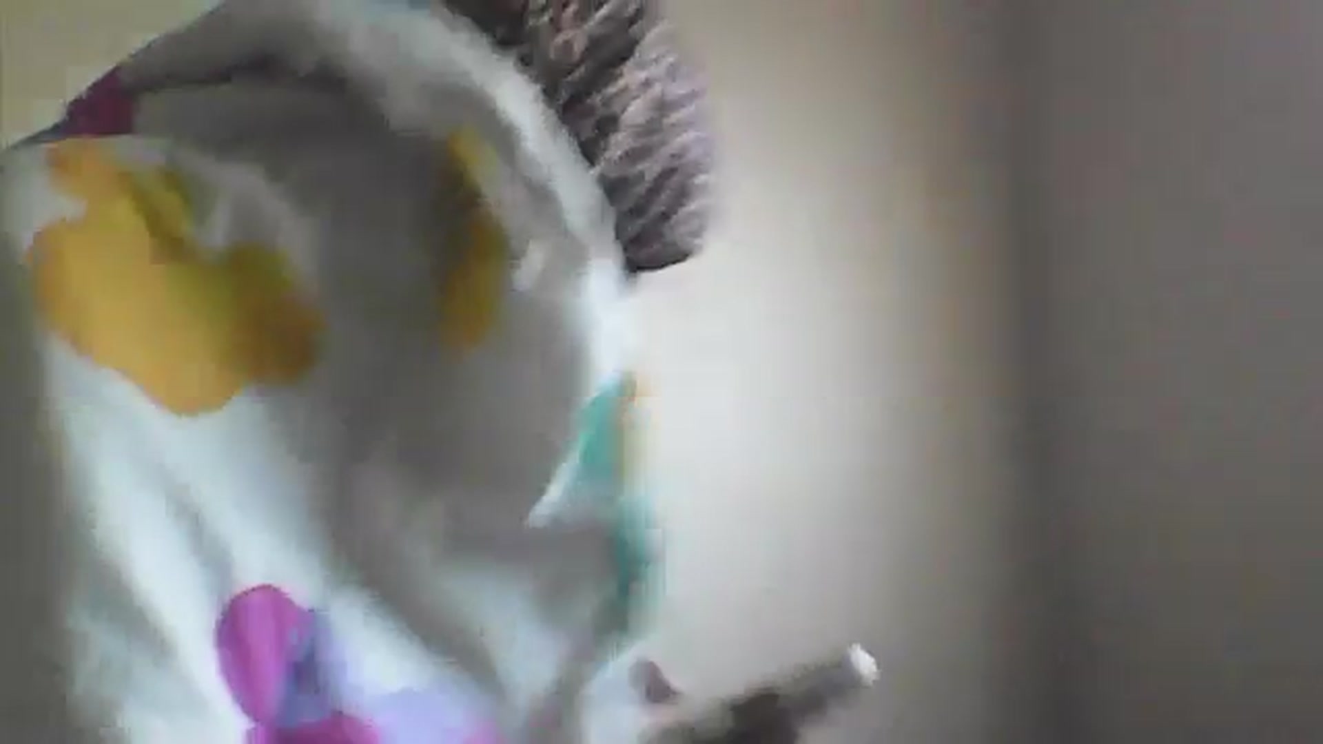 Gallery image thumbnail from EssieM's myfreecams stream on, 12/31/2025, 15:40 image 12 of 20