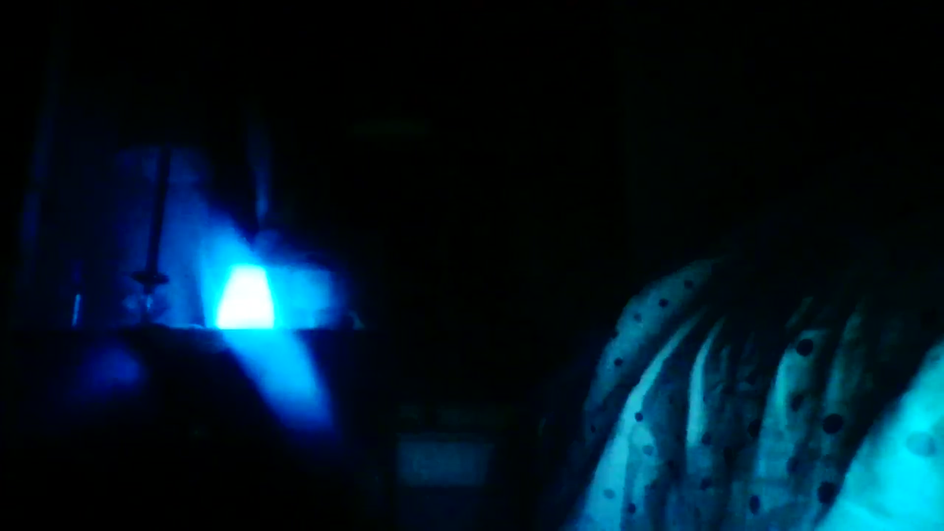 Gallery image thumbnail from EstelleSelpaz's myfreecams stream on, 02/25/2025, 03:22 image 18 of 20