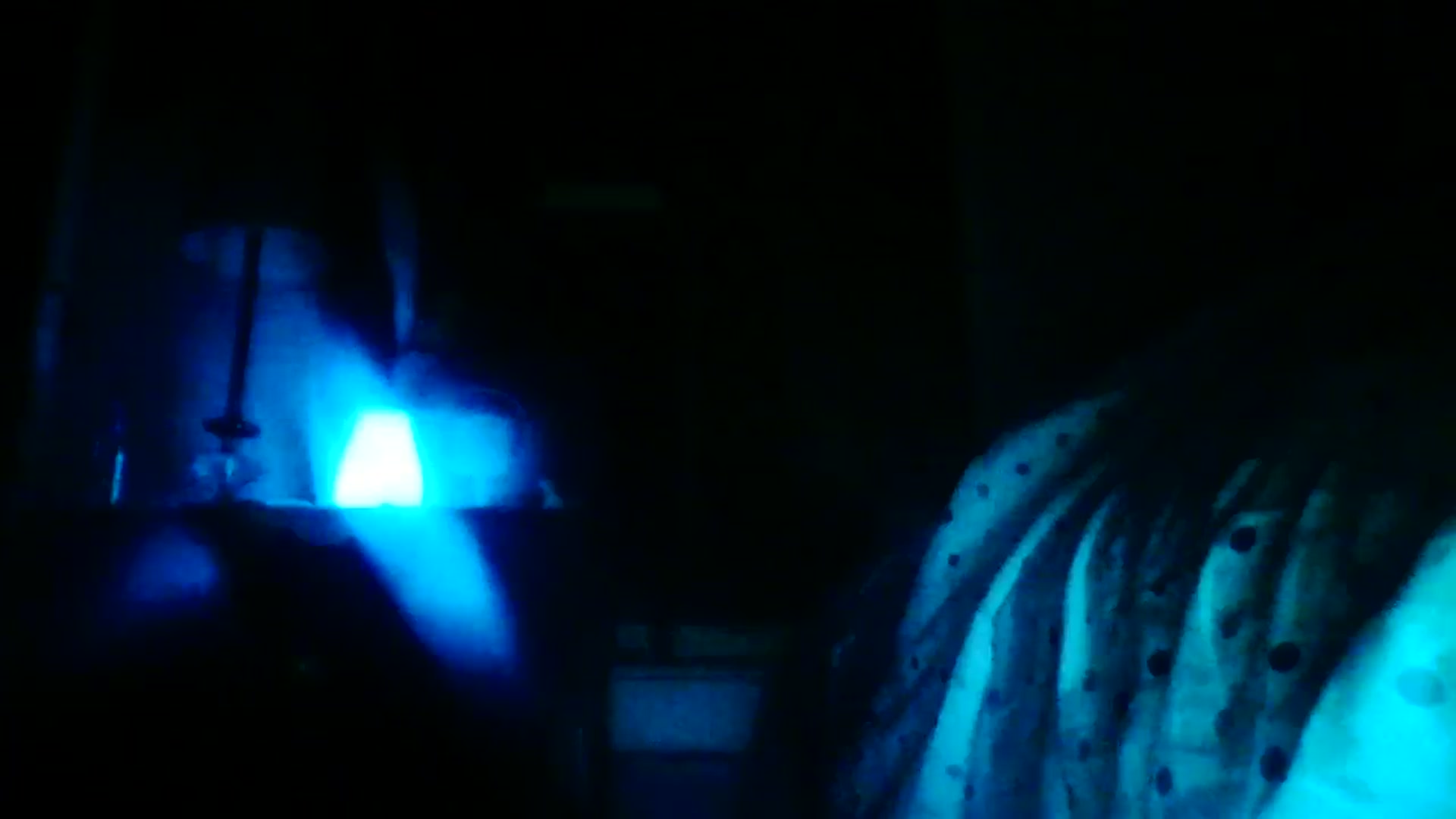 Gallery image thumbnail from EstelleSelpaz's myfreecams stream on, 02/25/2025, 03:22 image 14 of 20