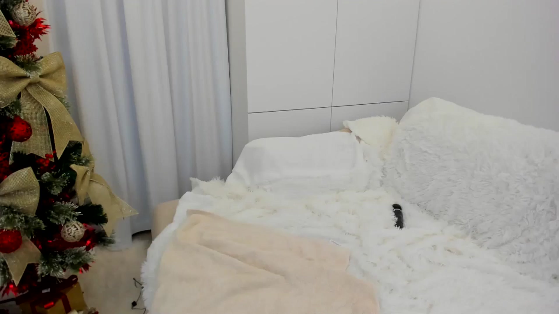 Gallery image thumbnail from Euphoriaaa's myfreecams stream on, 12/13/2024, 22:46 image 16 of 20