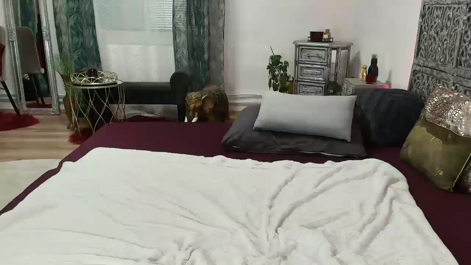 Gallery image thumbnail from EvaBarbiGold's myfreecams stream on, 01/27/2026, 24:00 image 20 of 20