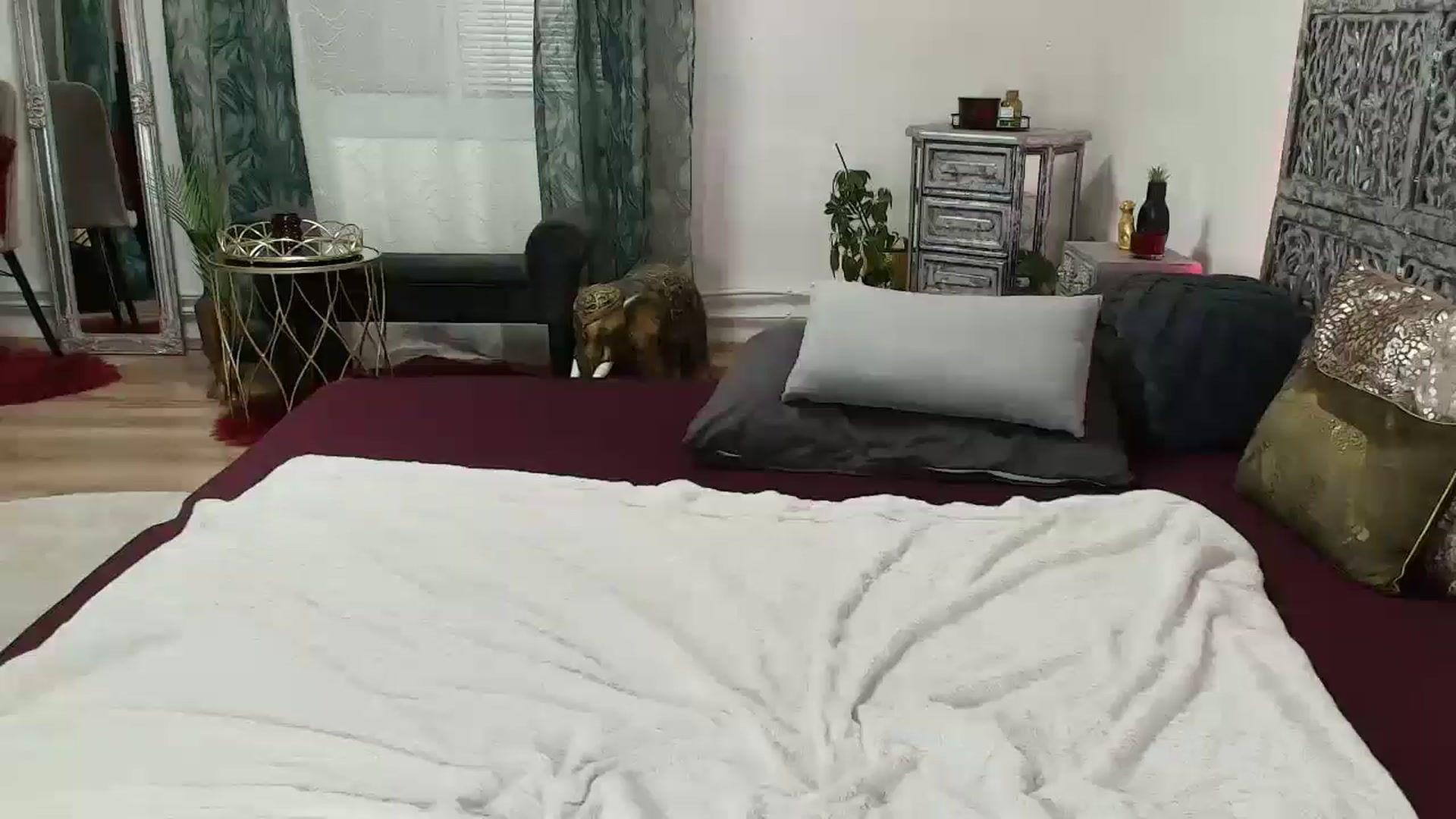 Gallery image thumbnail from EvaBarbiGold's myfreecams stream on, 01/27/2026, 24:00 image 19 of 20