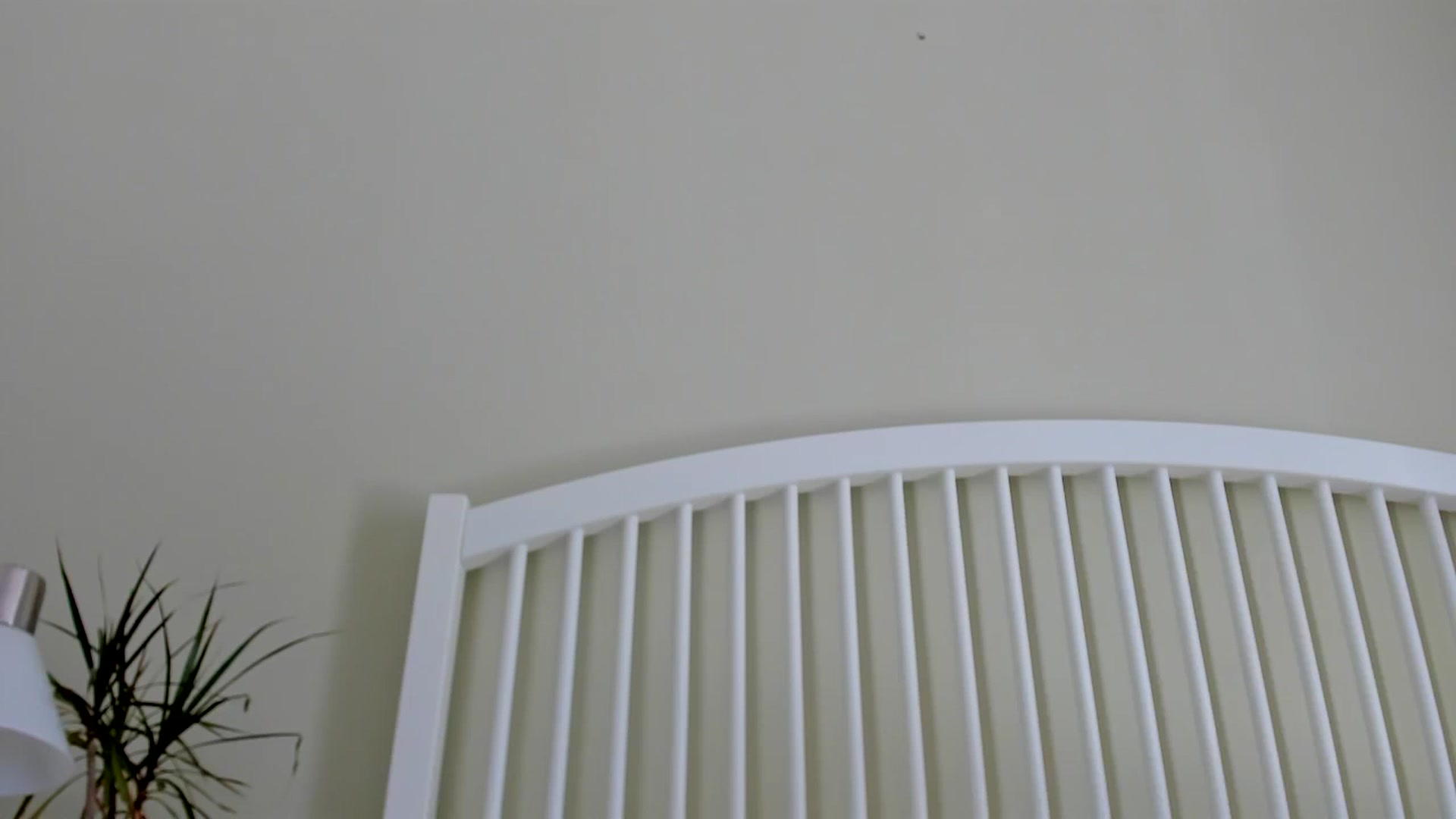 Gallery image thumbnail from EvaEvelin's myfreecams stream on, 06/24/2024, 13:08 image 8 of 20