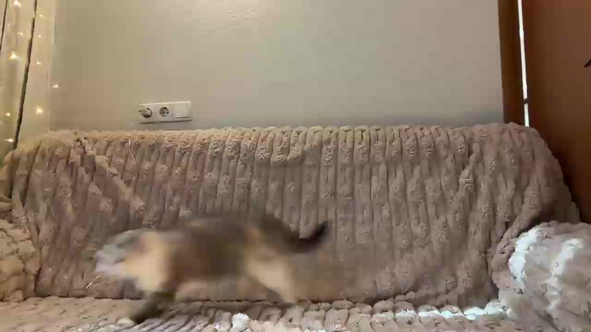 Gallery image thumbnail from EvaSmile's myfreecams stream on, 08/15/2026, 14:27 image 1 of 20