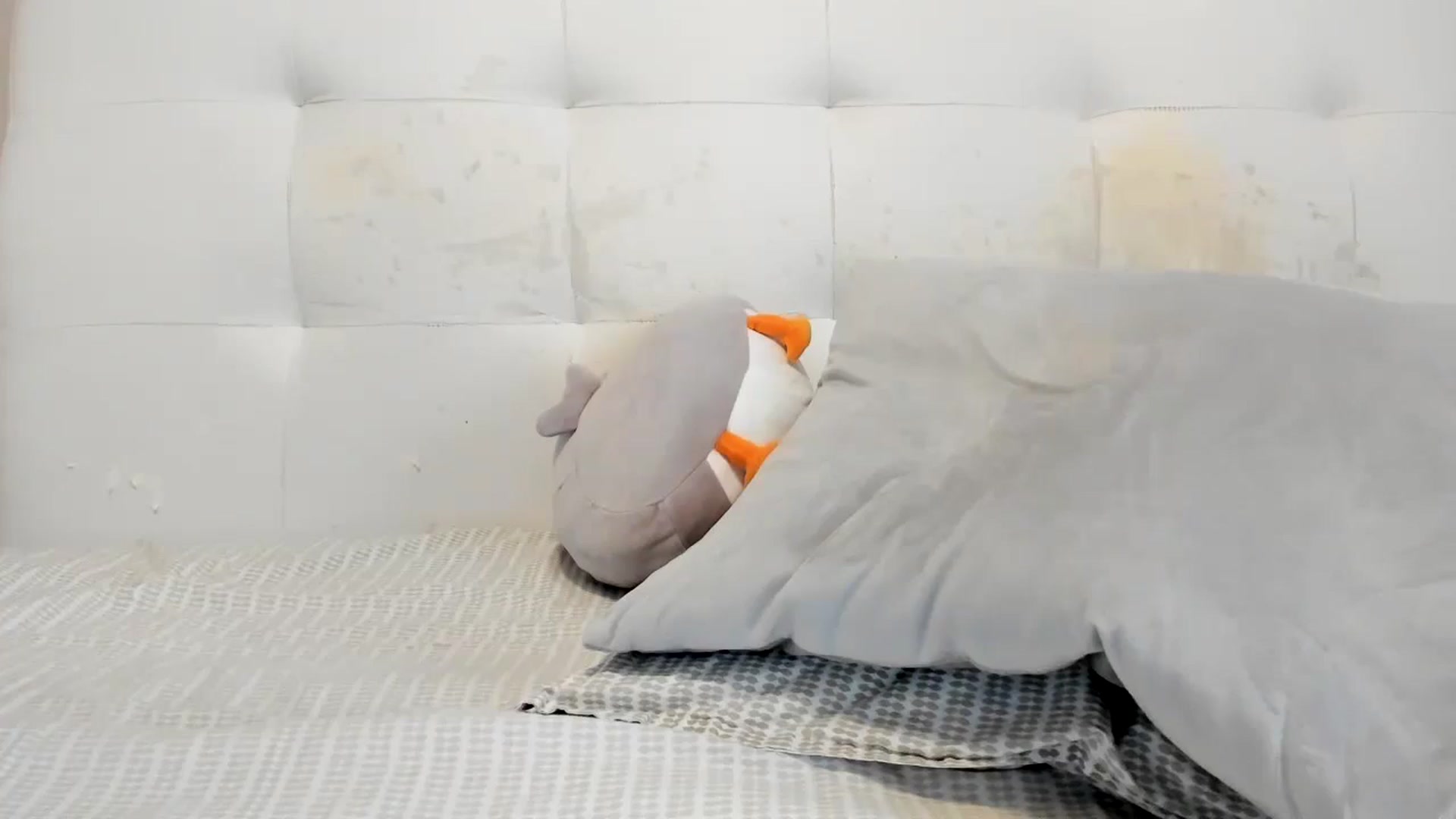 Gallery image thumbnail from Eva_EvansV's myfreecams stream on, 11/12/2025, 13:50 image 4 of 20