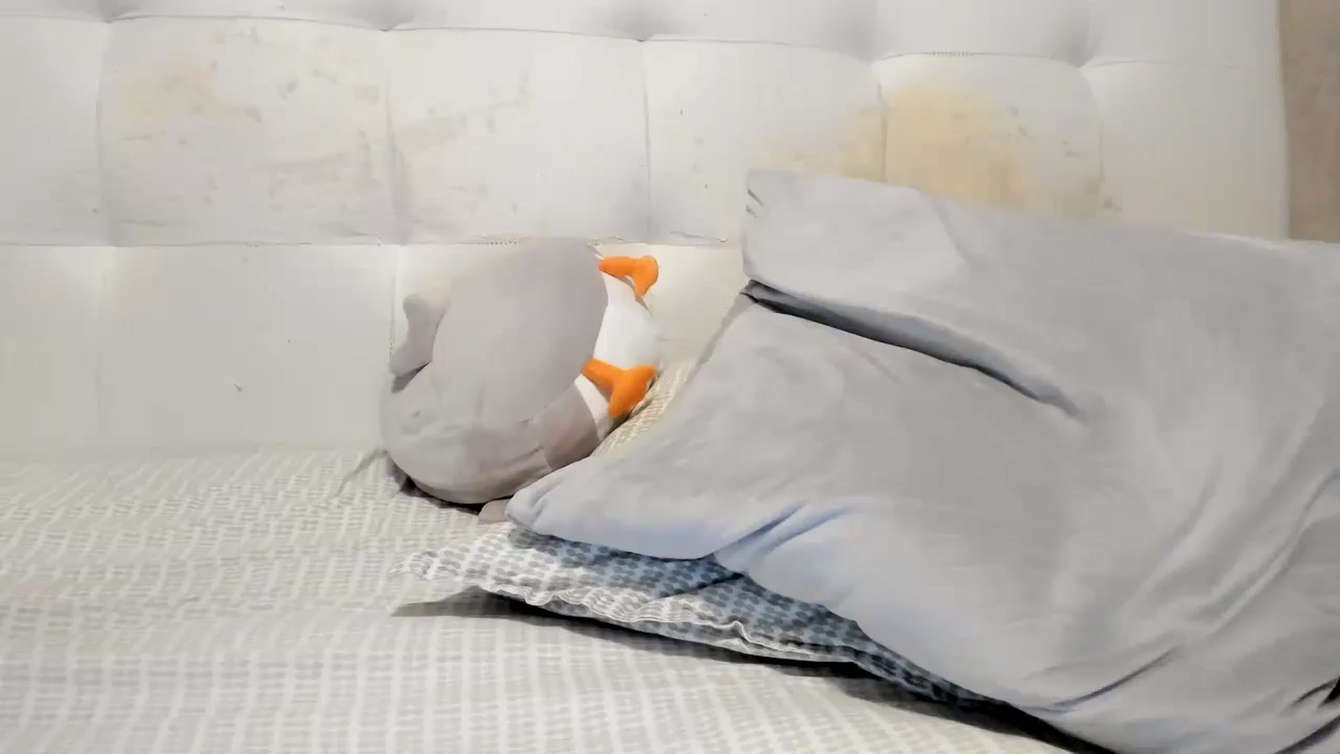 Gallery image thumbnail from Eva_EvansV's myfreecams stream on, 11/12/2025, 13:50 image 17 of 20