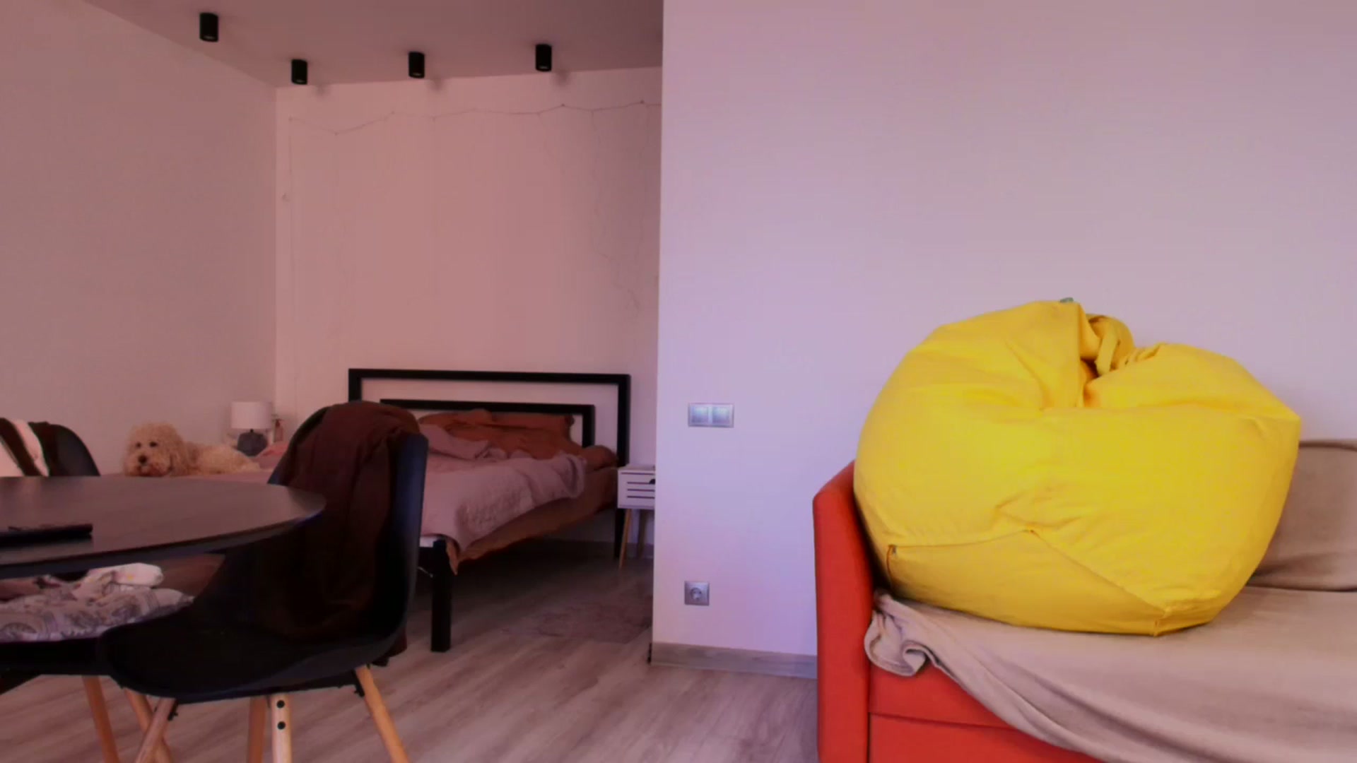 Gallery image thumbnail from Evali's myfreecams stream on, 03/24/2026, 15:00 image 19 of 20