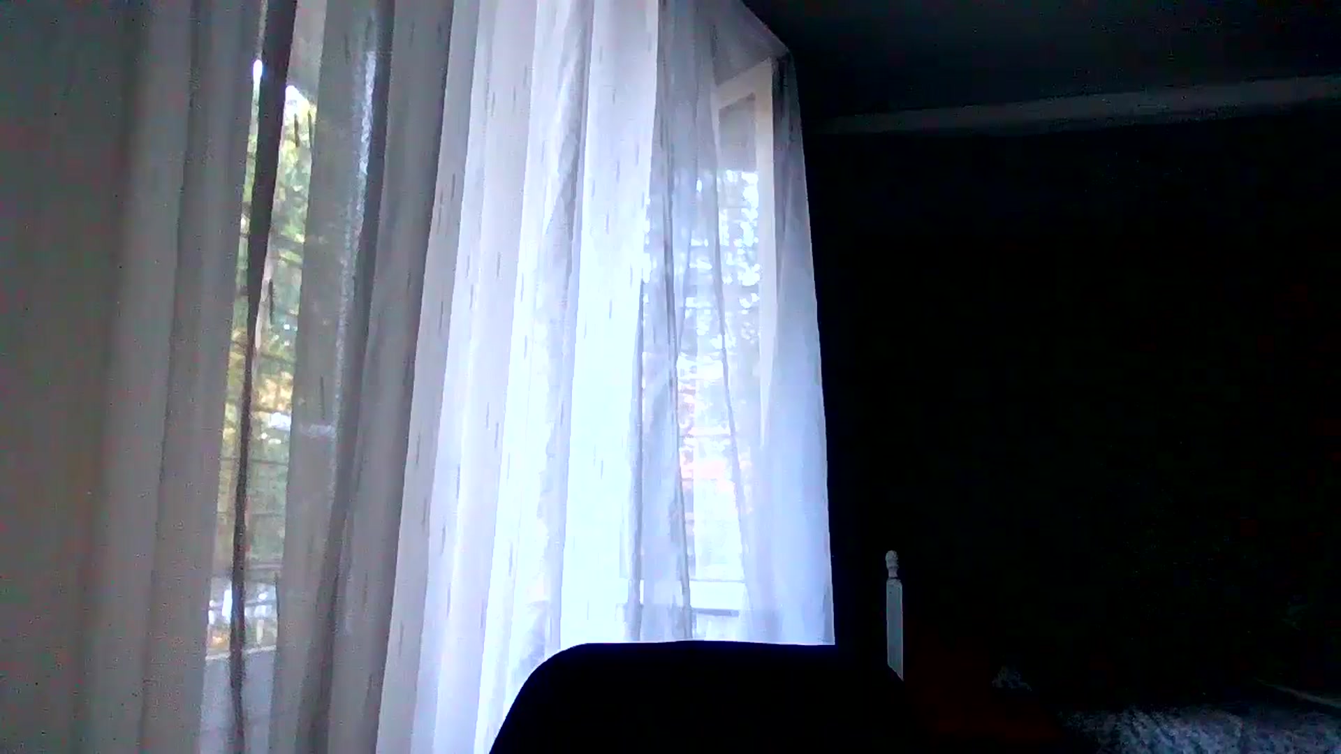Gallery image thumbnail from Evalimi's myfreecams stream on, 08/24/2025, 14:04 image 19 of 20