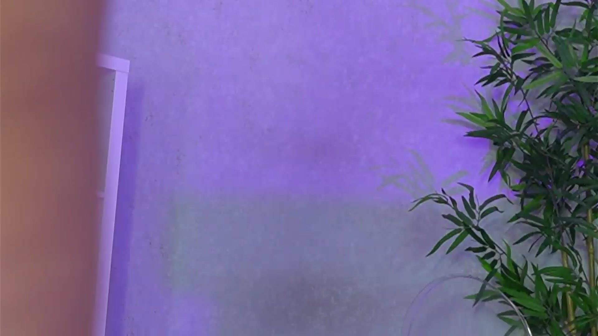 Gallery image thumbnail from EveWilder's myfreecams stream on, 06/19/2026, 11:04 image 13 of 20