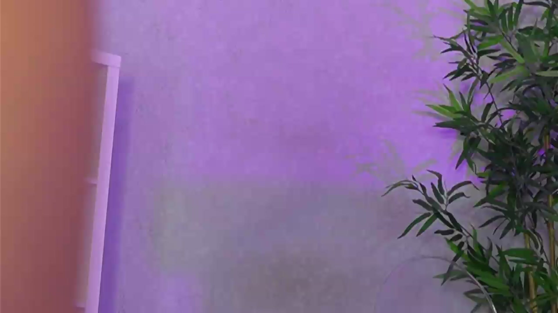 Gallery image thumbnail from EveWilder's myfreecams stream on, 06/19/2026, 11:04 image 12 of 20