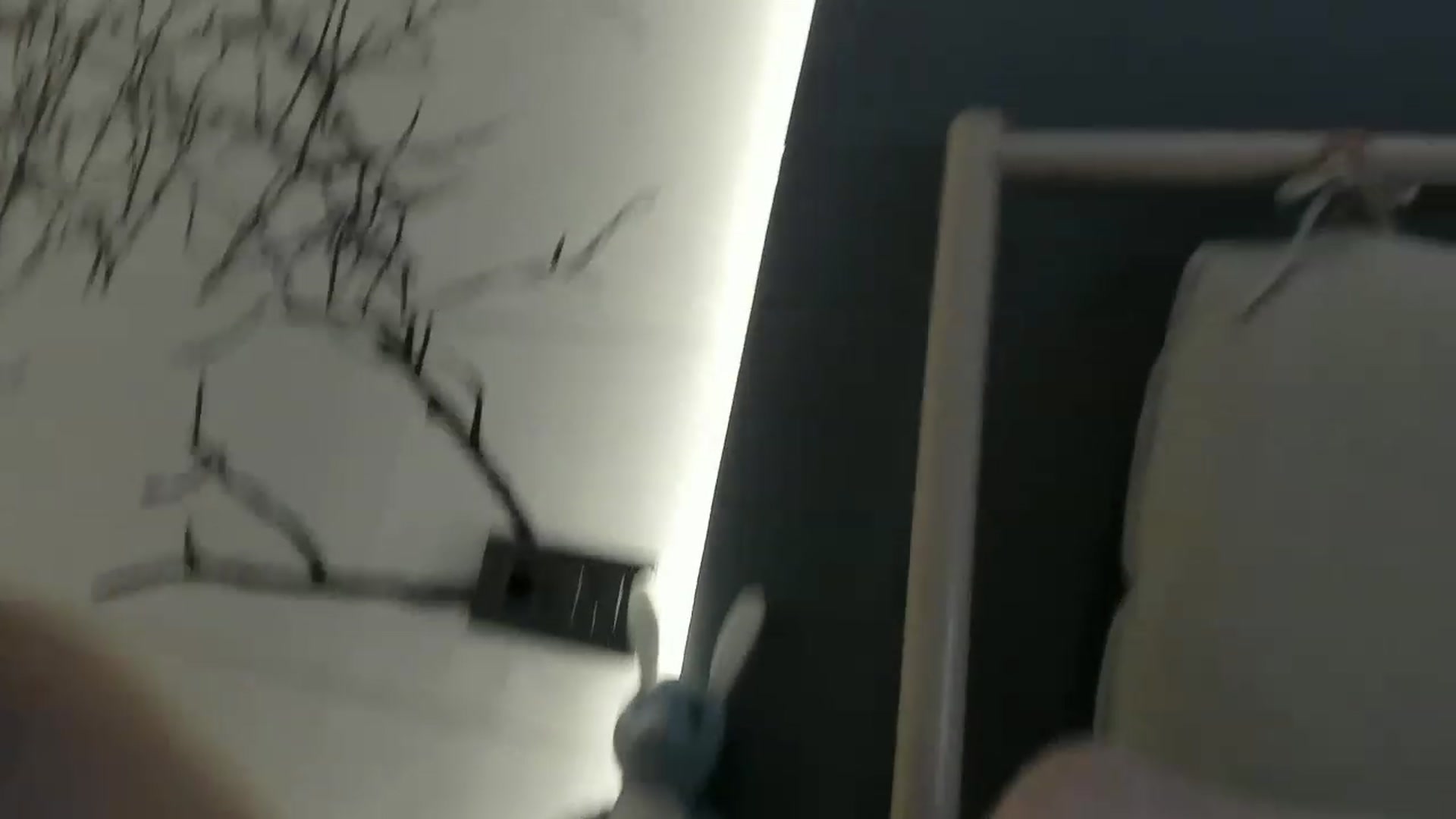 Gallery image thumbnail from Eve___'s myfreecams stream on, 12/07/2022, 16:28 image 19 of 20