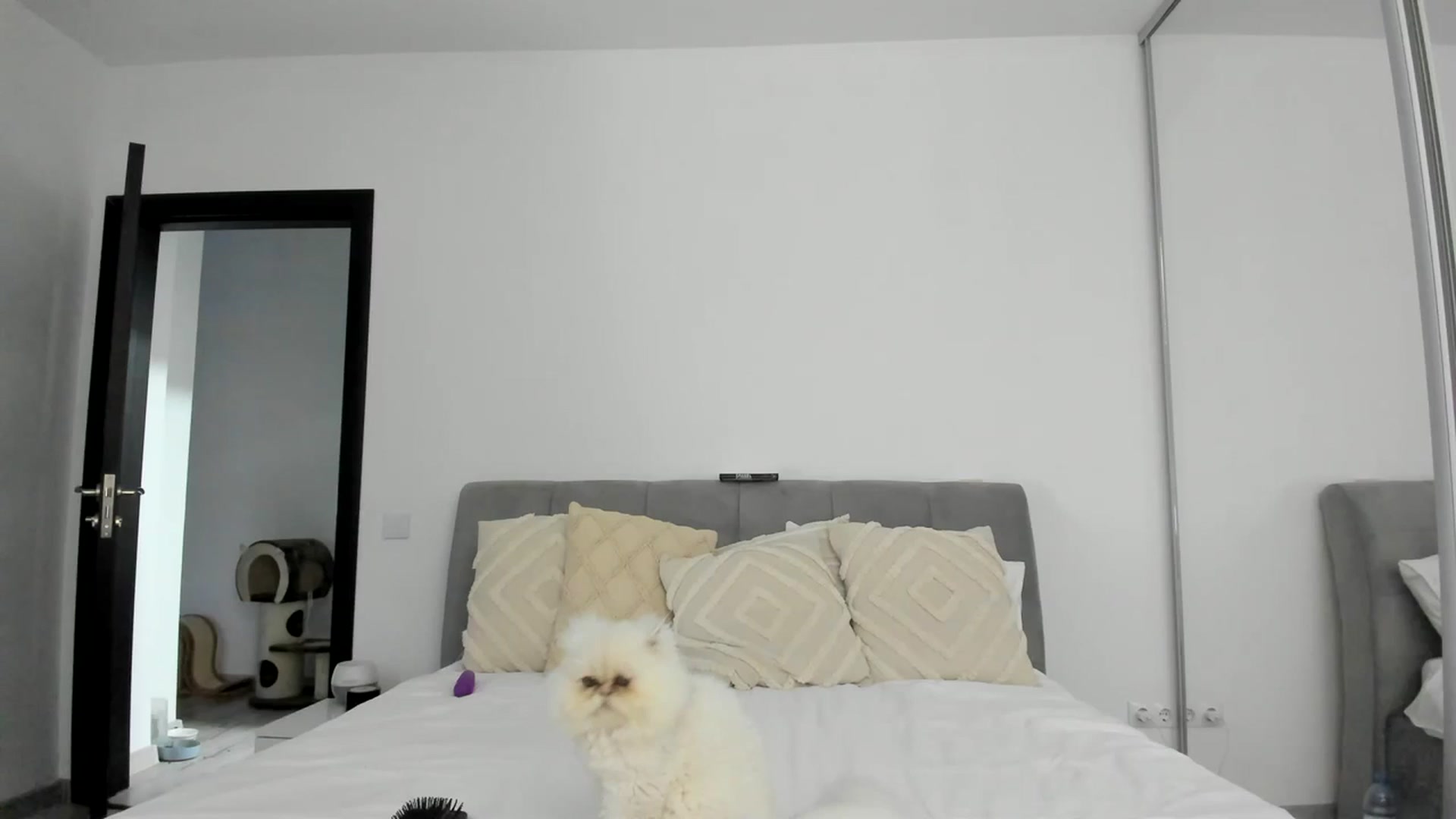 Gallery image thumbnail from Eve___'s myfreecams stream on, 01/20/2024, 15:39 image 16 of 20