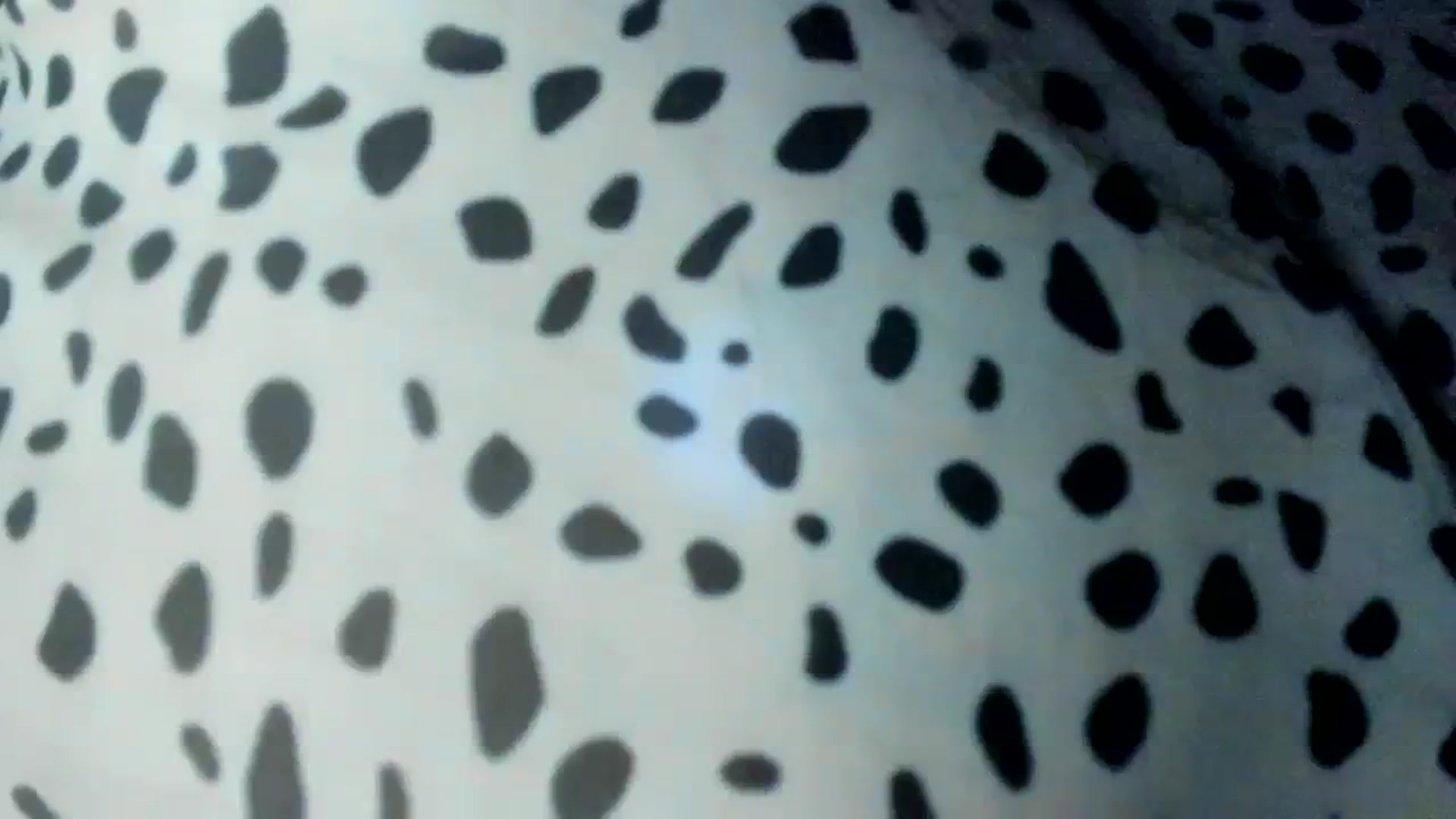 Gallery image thumbnail from Eve___'s myfreecams stream on, 03/01/2024, 16:59 image 7 of 20