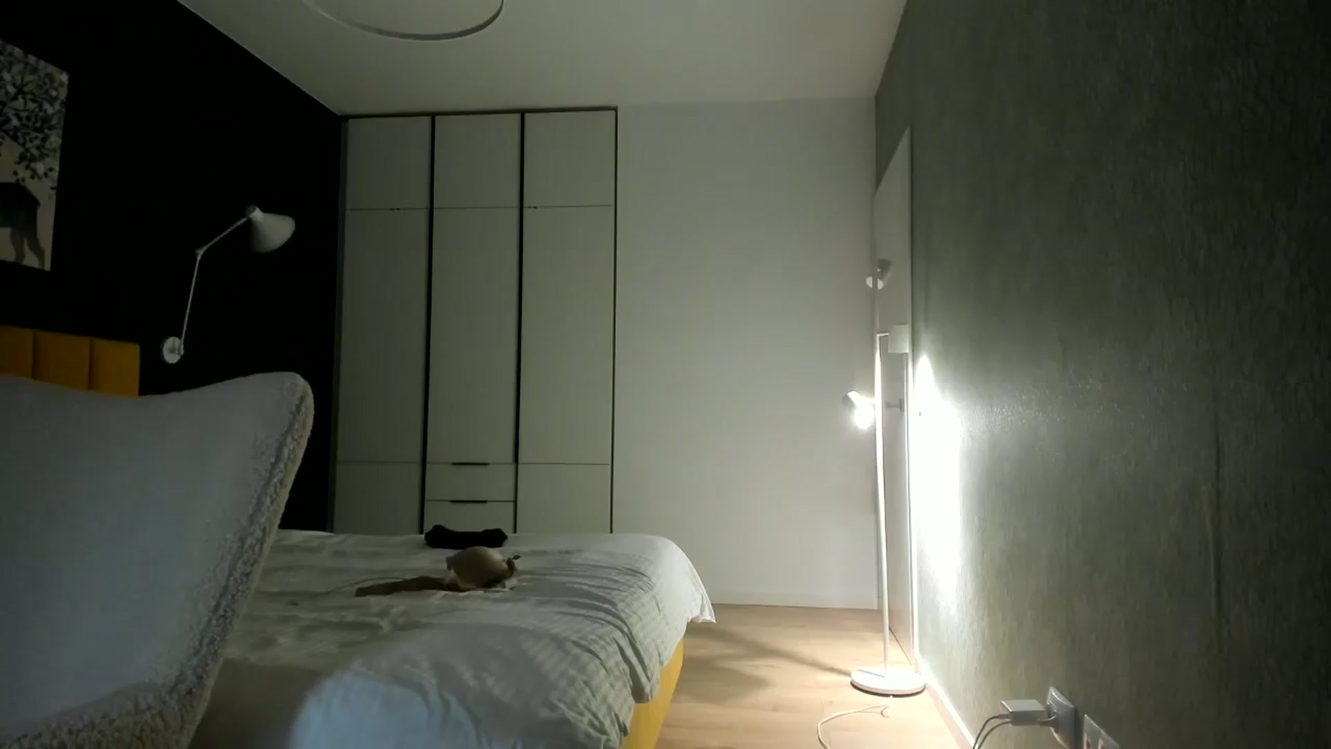 Gallery image thumbnail from Eve___'s myfreecams stream on, 04/18/2024, 14:24 image 12 of 20
