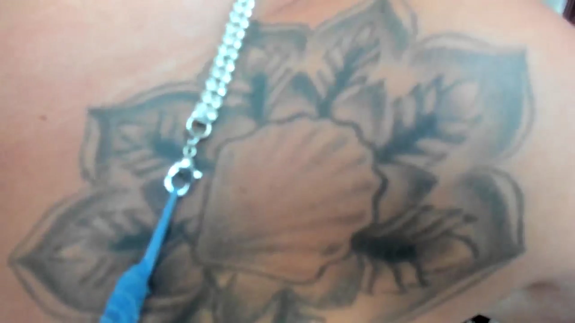 Gallery image thumbnail from Eve___'s myfreecams stream on, 07/14/2024, 16:39 image 11 of 20