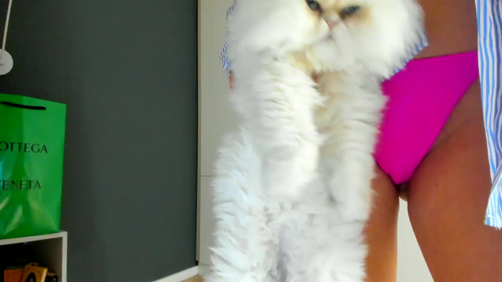 Gallery image thumbnail from Eve___'s myfreecams stream on, 12/08/2024, 16:01 image 20 of 20