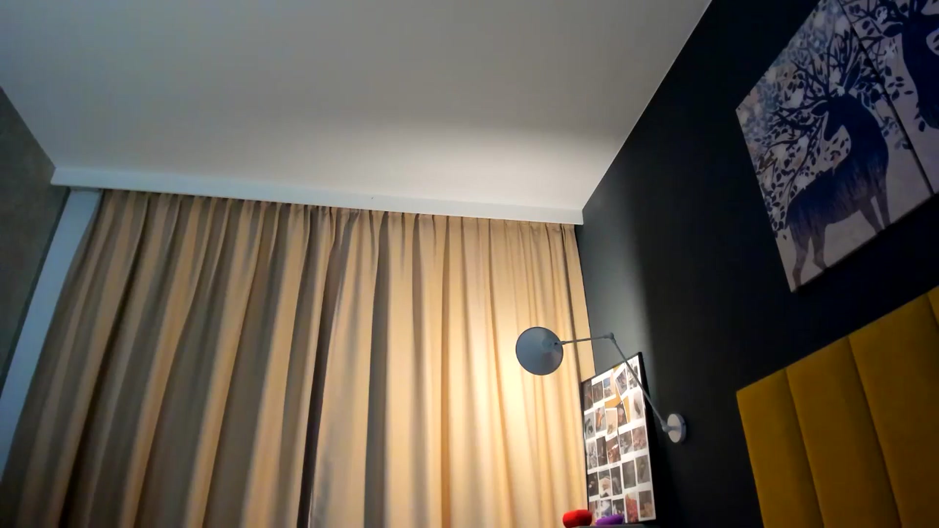 Gallery image thumbnail from Eve___'s myfreecams stream on, 12/11/2024, 16:01 image 2 of 20