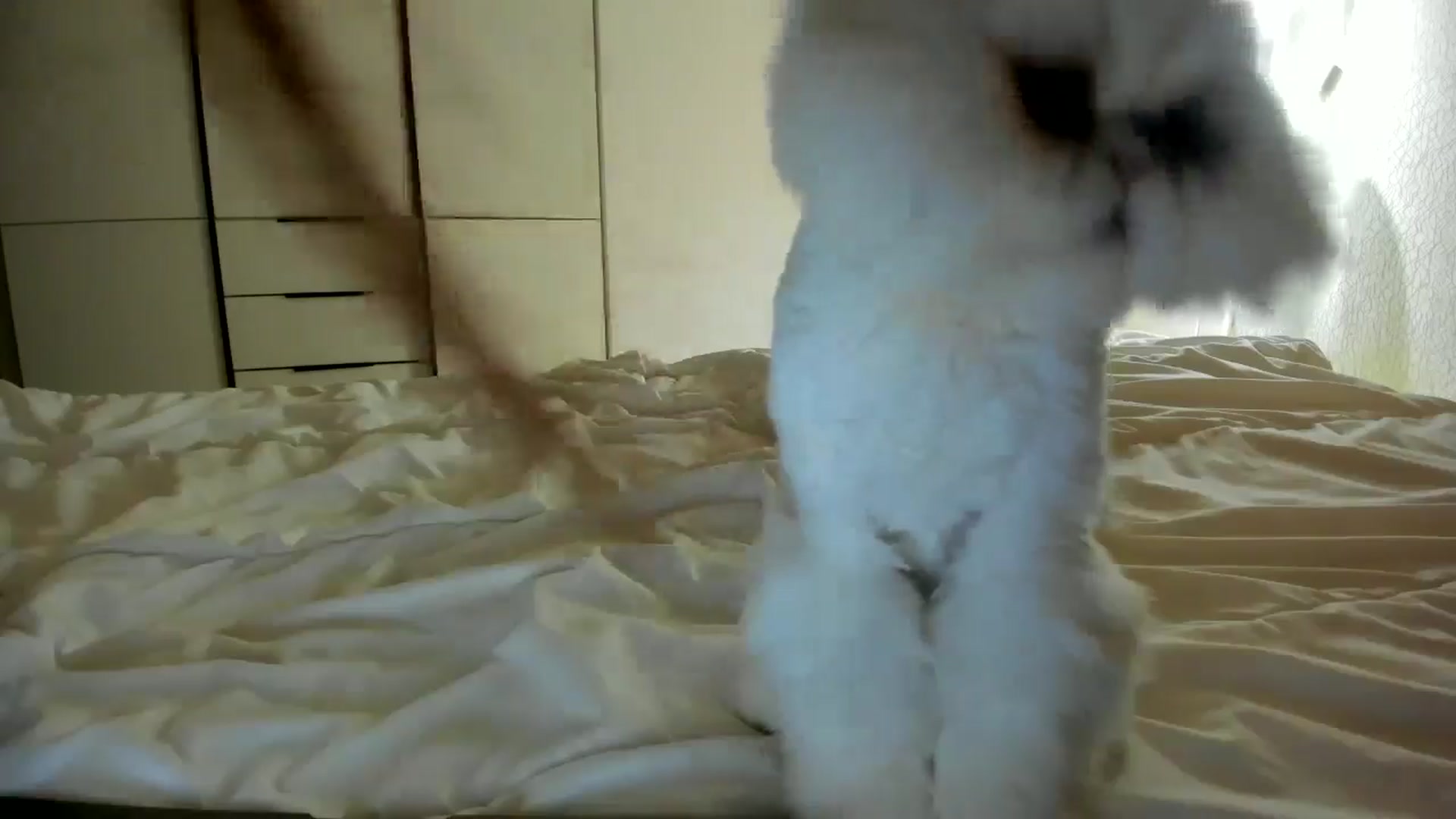 Gallery image thumbnail from Eve___'s myfreecams stream on, 01/07/2025, 15:36 image 19 of 20