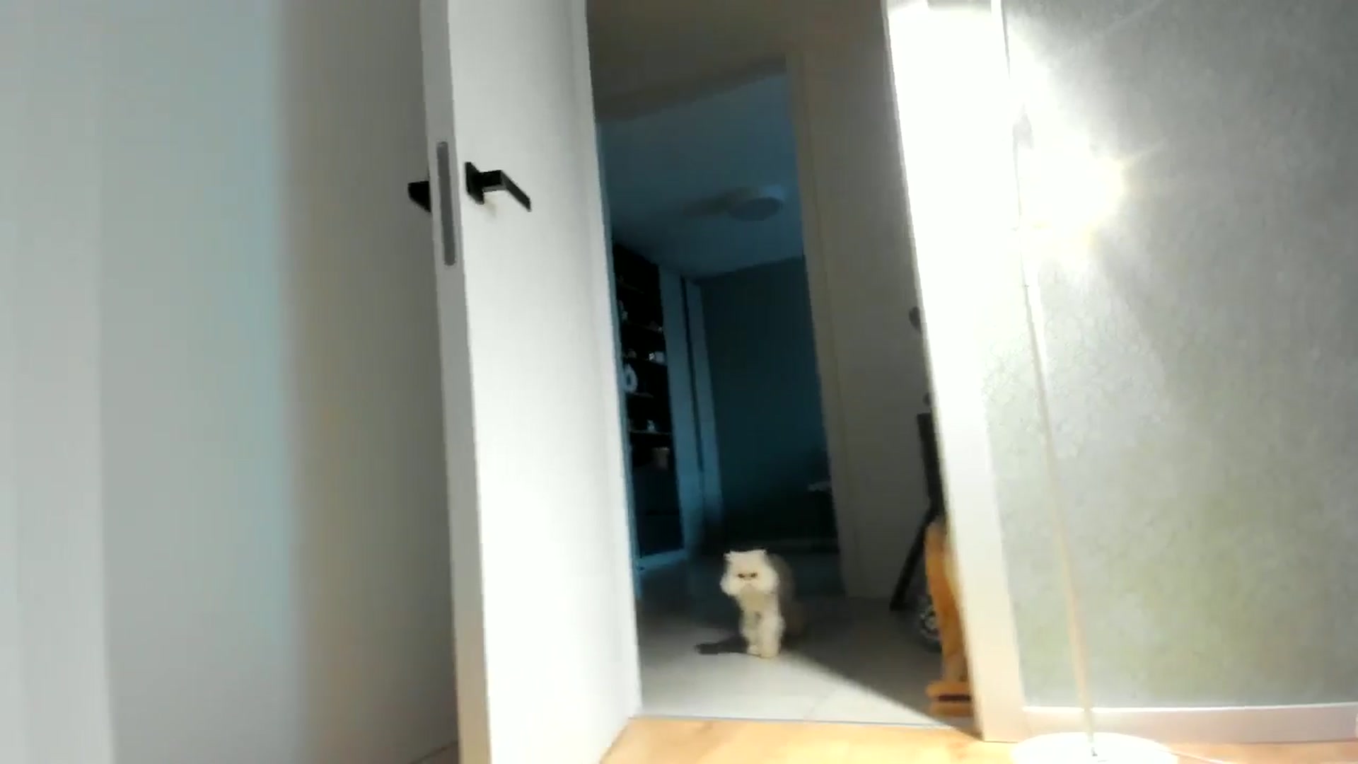 Gallery image thumbnail from Eve___'s myfreecams stream on, 02/09/2025, 16:32 image 10 of 20