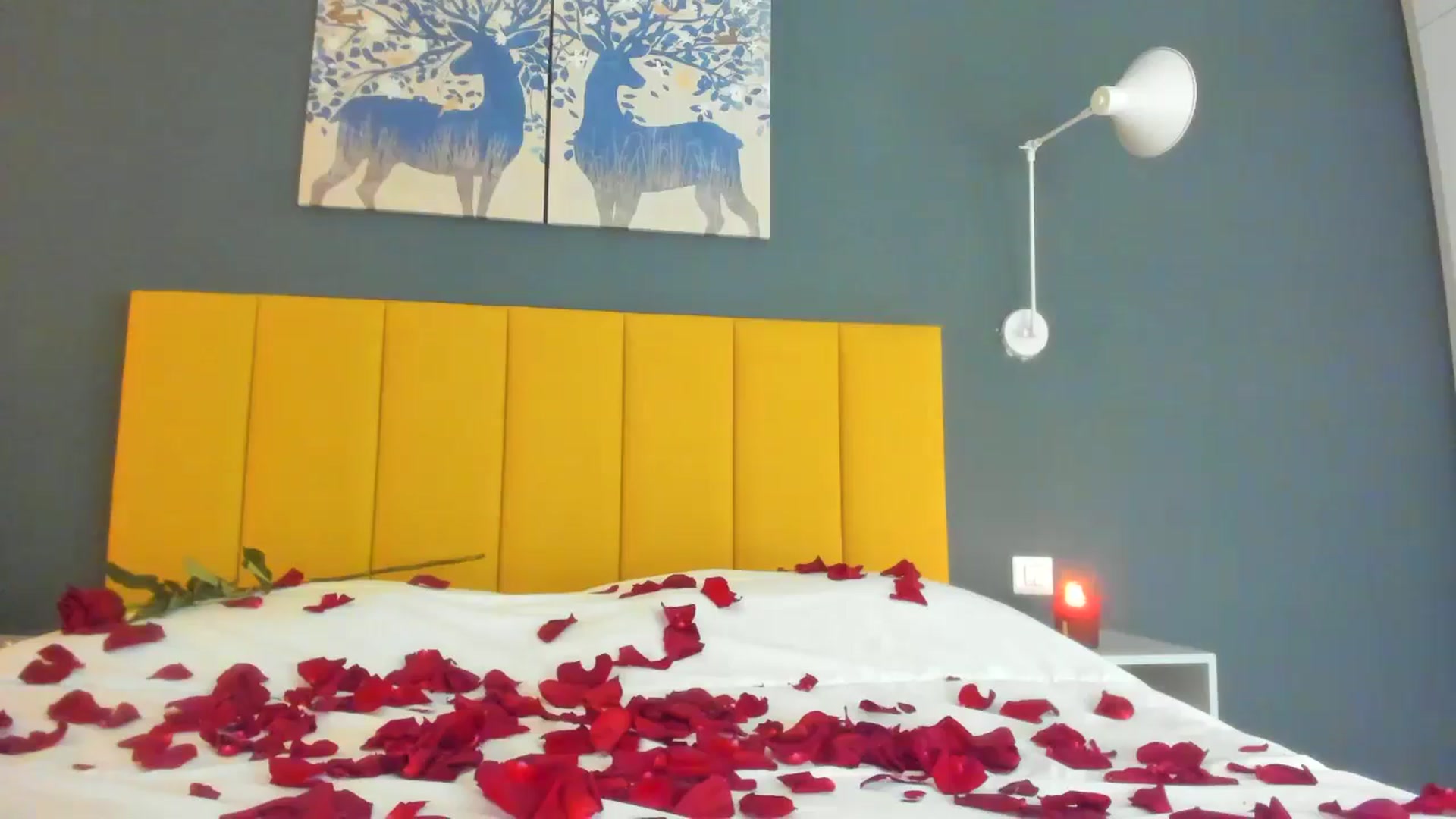 Gallery image thumbnail from Eve___'s myfreecams stream on, 02/14/2025, 18:37 image 3 of 20