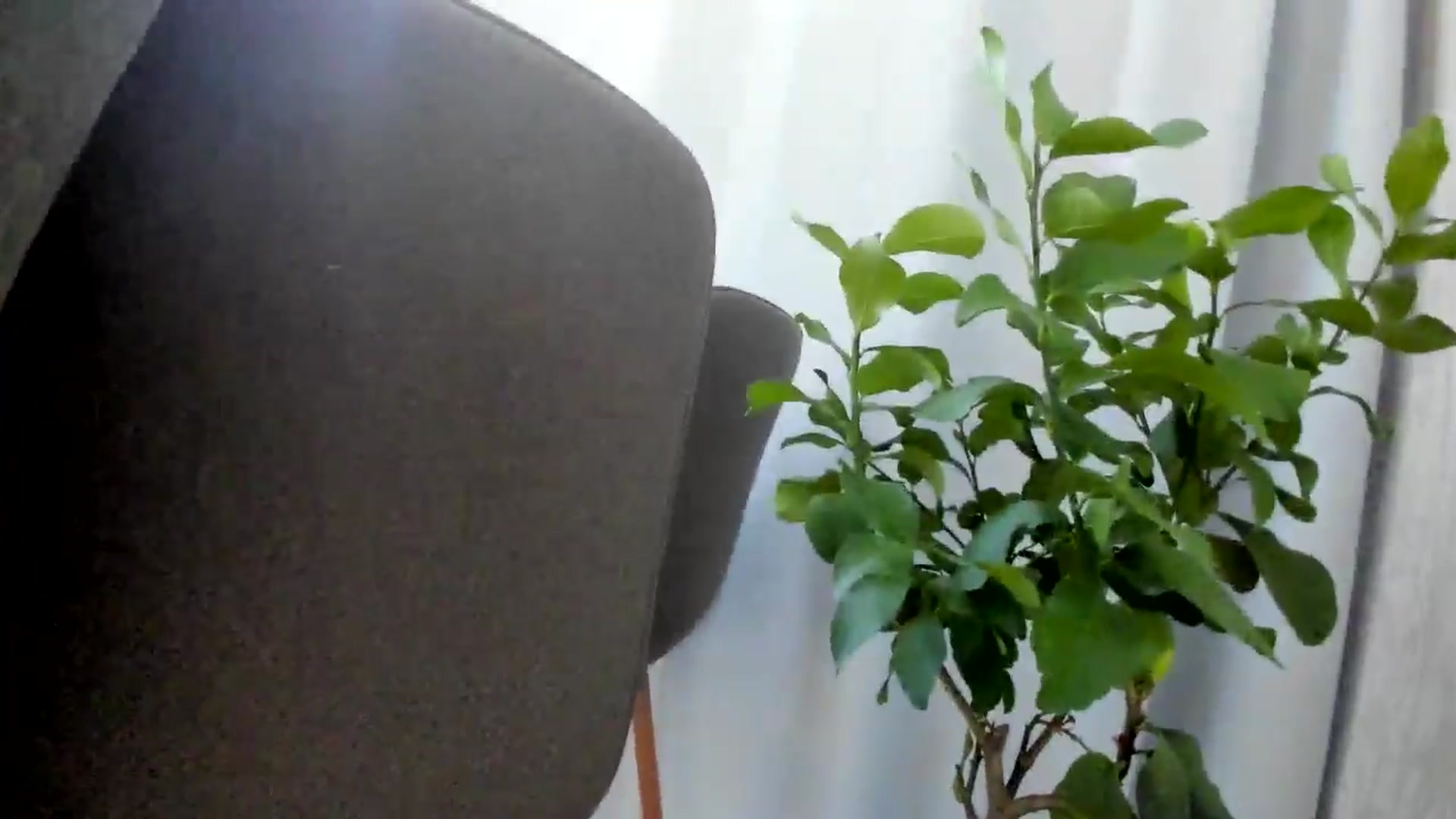 Gallery image thumbnail from Eve___'s myfreecams stream on, 09/23/2025, 14:03 image 7 of 20