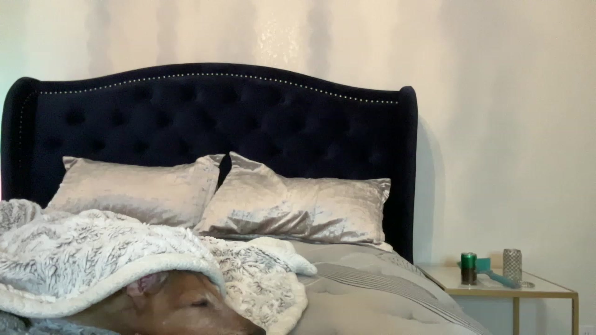 Gallery image thumbnail from EveeMinx's myfreecams stream on, 05/14/2023, 05:47 image 14 of 20