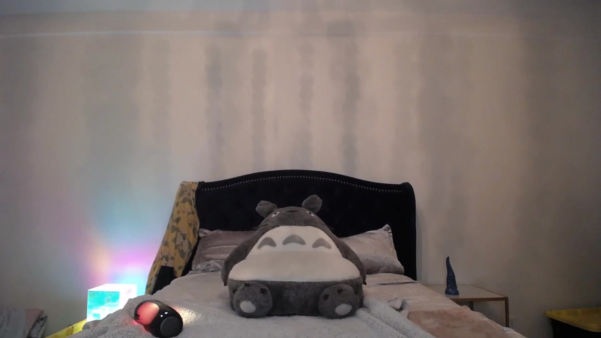 Gallery image thumbnail from EveeMinx's myfreecams stream on, 05/17/2023, 03:51 image 11 of 20