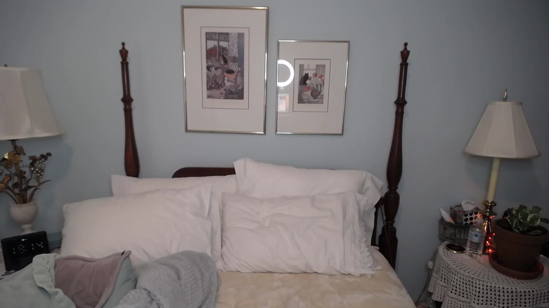 Gallery image thumbnail from EveeMinx's myfreecams stream on, 07/16/2023, 03:06 image 9 of 20