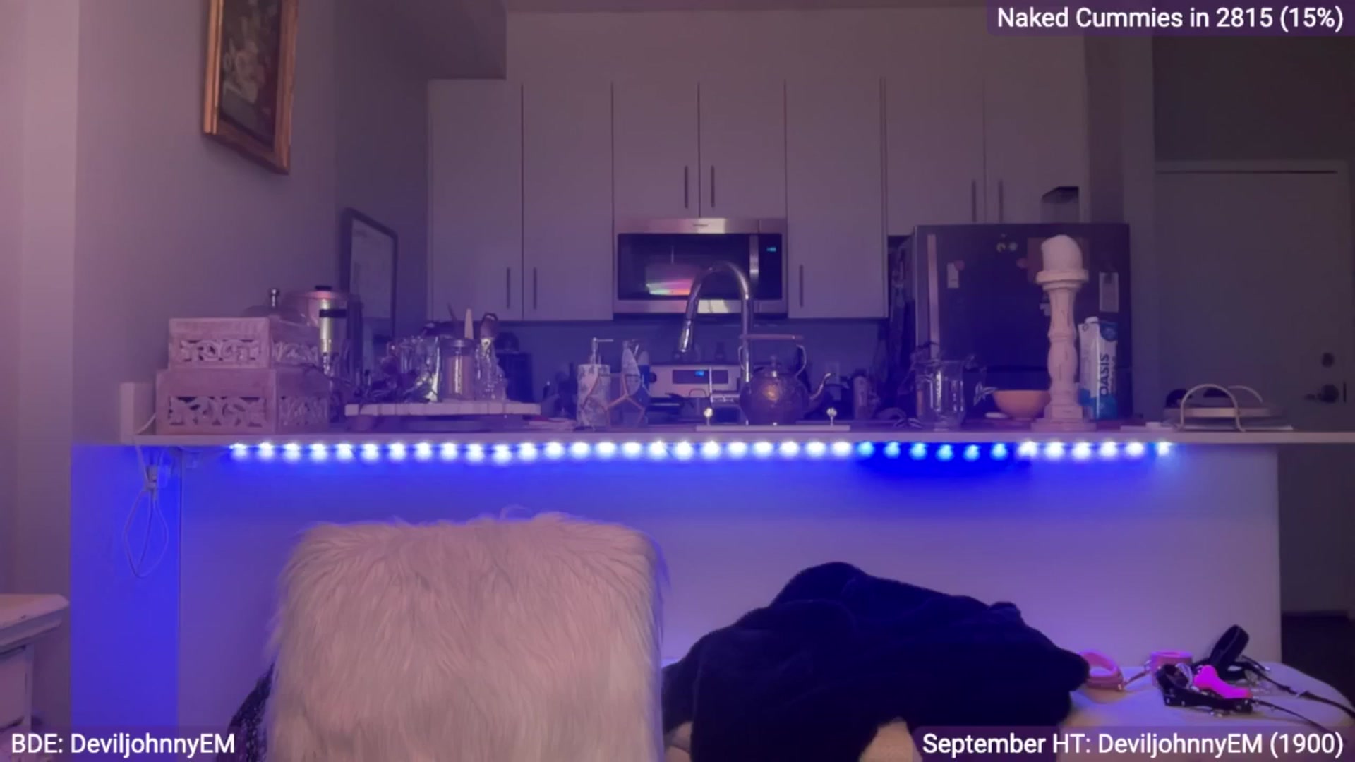 Gallery image thumbnail from EveeMinx's myfreecams stream on, 09/13/2024, 06:27 image 17 of 20