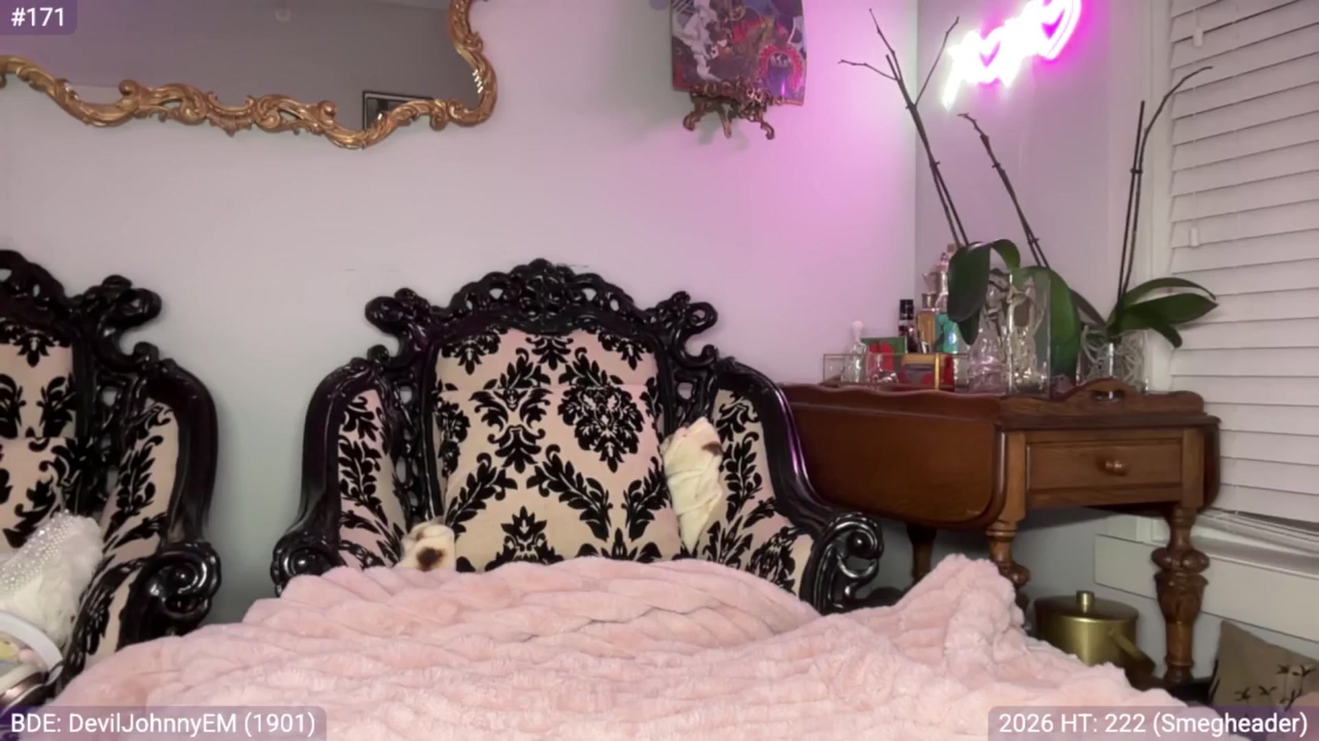 Gallery image thumbnail from EveeMinx's myfreecams stream on, 02/01/2026, 09:15 image 14 of 20