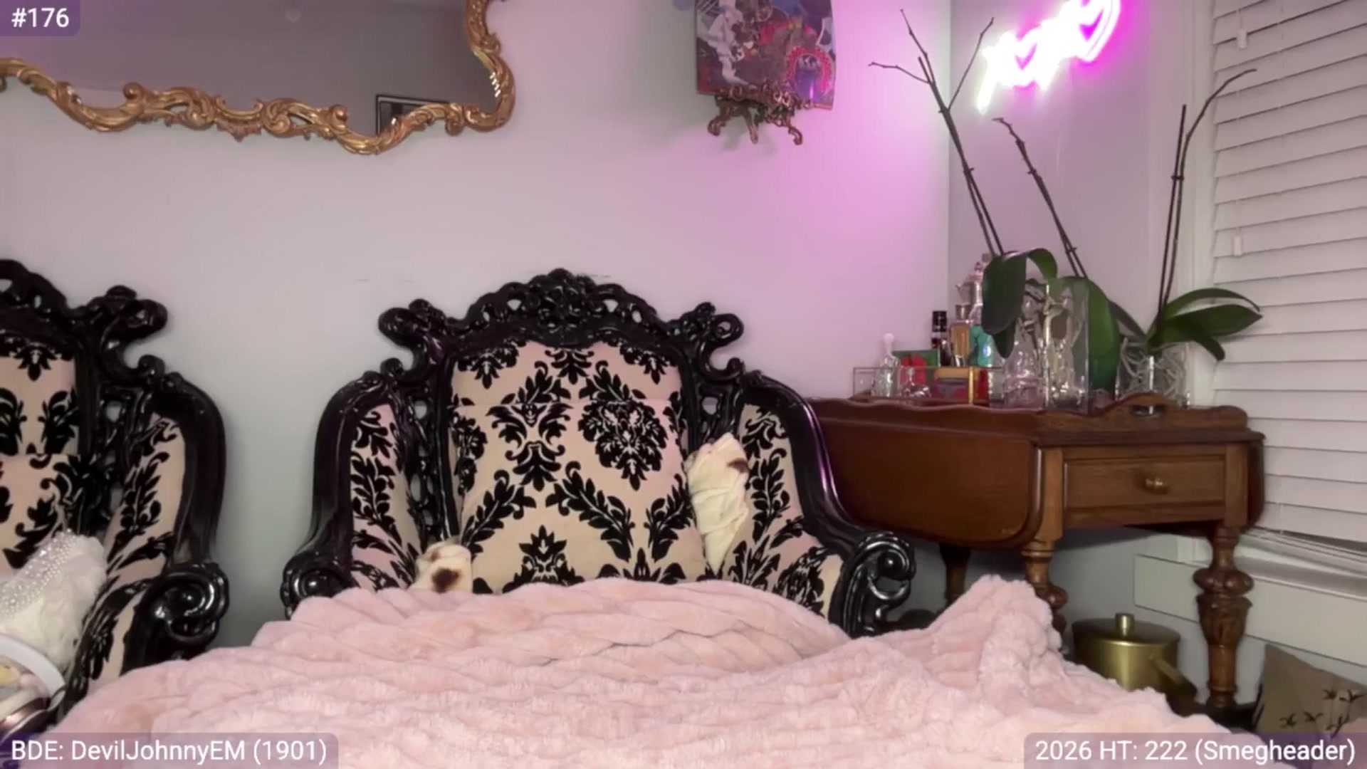 Gallery image thumbnail from EveeMinx's myfreecams stream on, 02/01/2026, 09:15 image 15 of 20