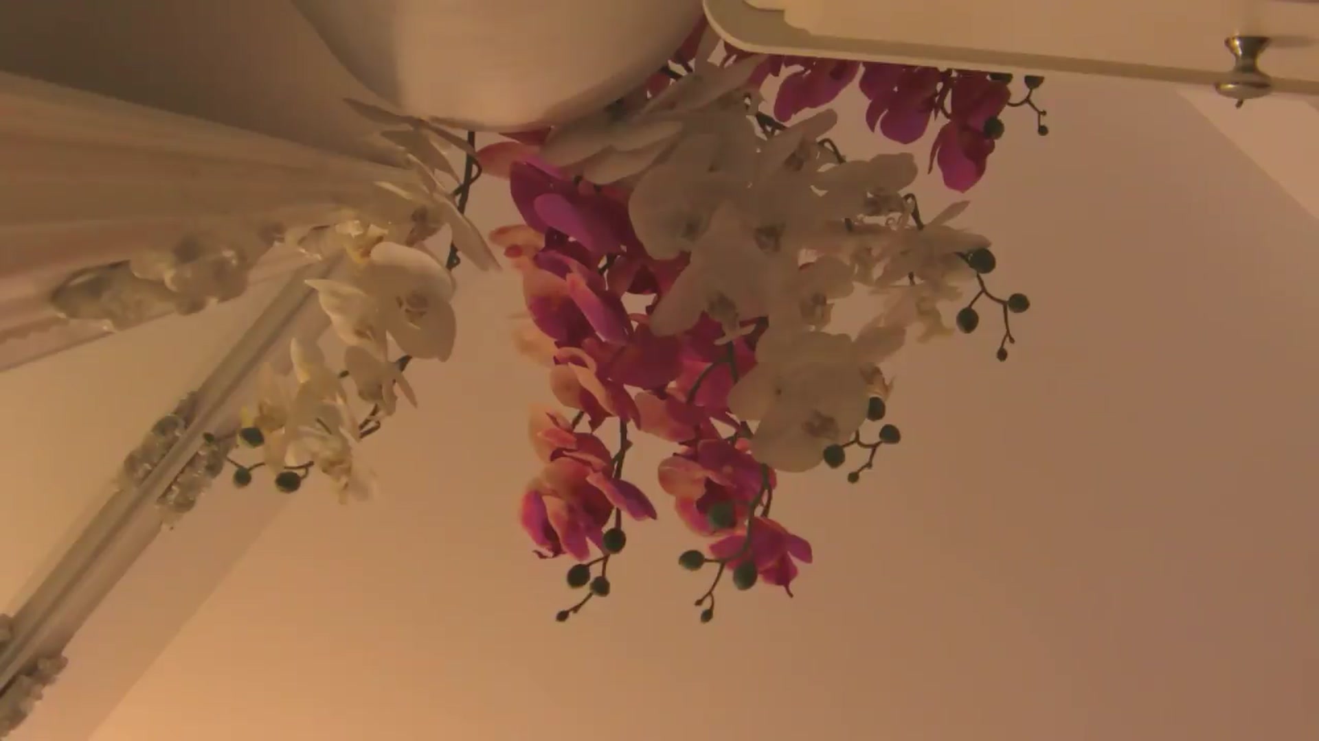 Gallery image thumbnail from EvelynAisha's myfreecams stream on, 06/14/2026, 19:02 image 12 of 20
