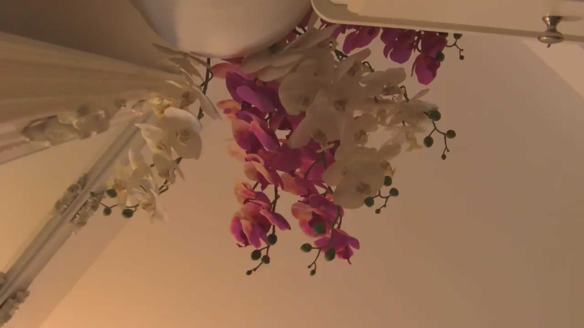 Gallery image thumbnail from EvelynAisha's myfreecams stream on, 06/14/2026, 19:02 image 15 of 20