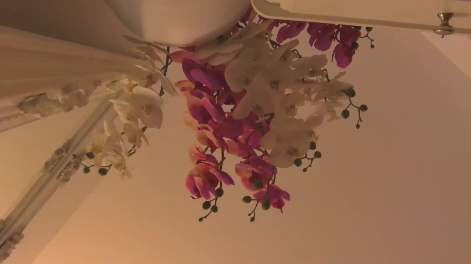 Gallery image thumbnail from EvelynAisha's myfreecams stream on, 06/14/2026, 19:02 image 13 of 20