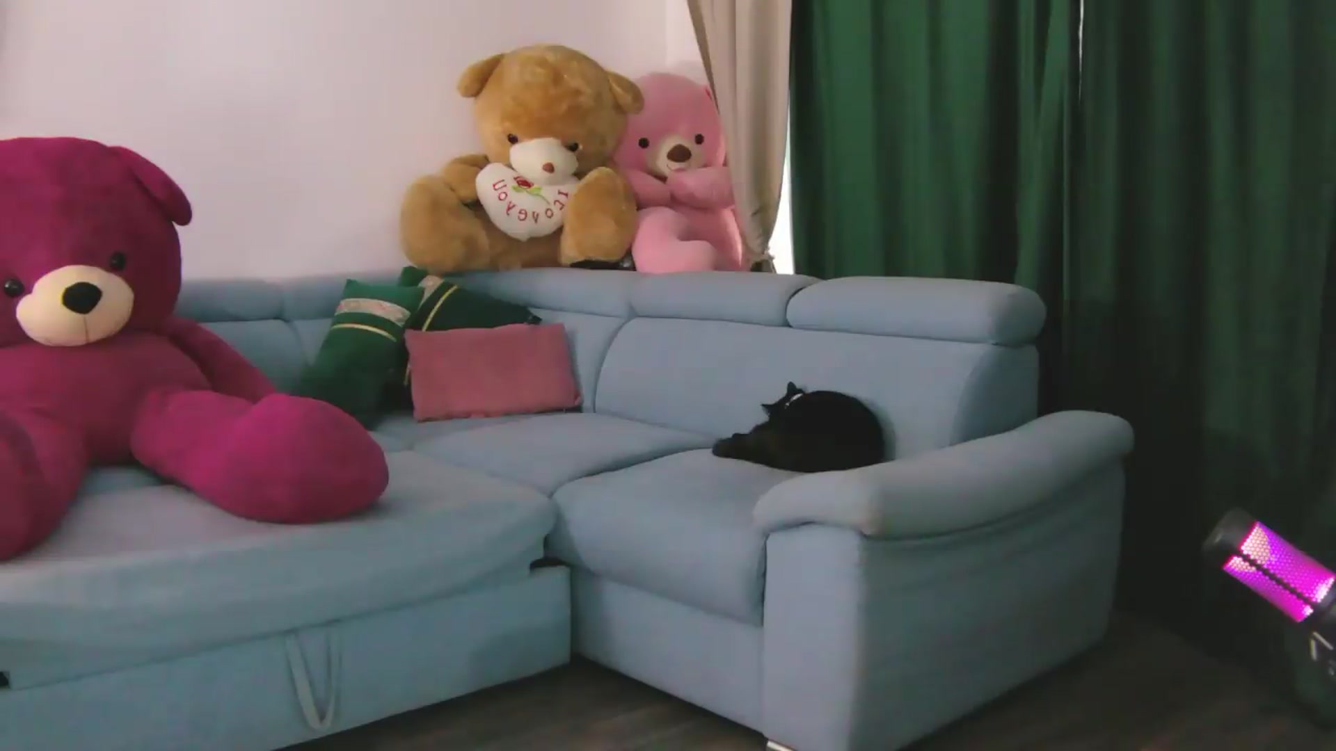Gallery image thumbnail from EvelynAisha's myfreecams stream on, 07/09/2026, 15:01 image 16 of 20