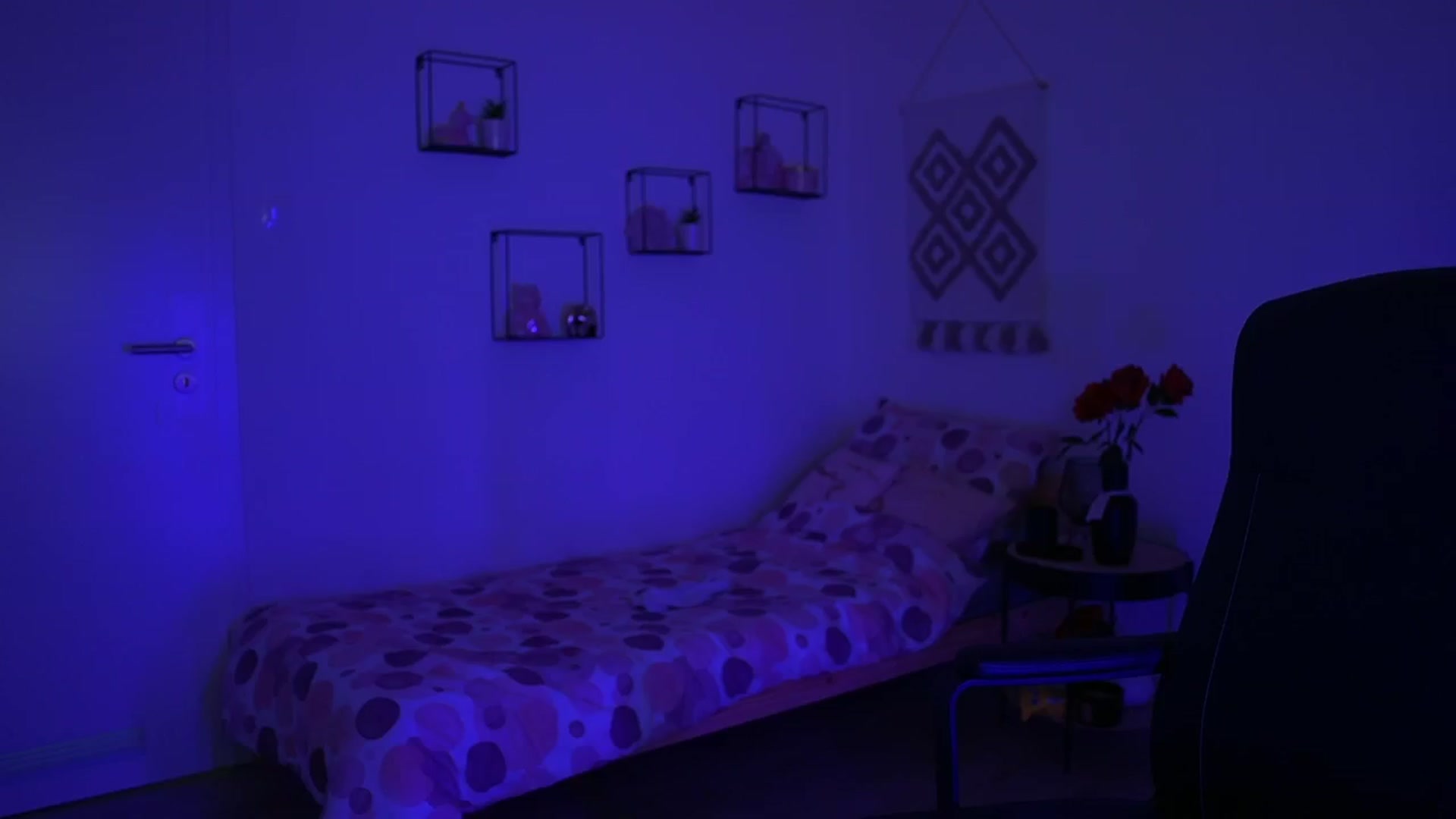 Gallery image thumbnail from EvelynCage_'s myfreecams stream on, 11/12/2024, 21:23 image 15 of 20